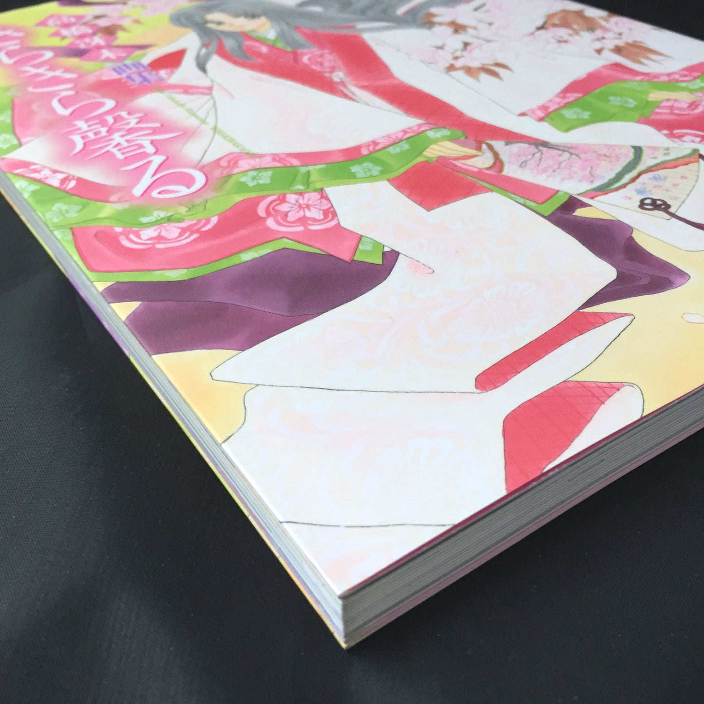 Kirakira Kaoru Saemi Takahashi Illustration ART BOOK
