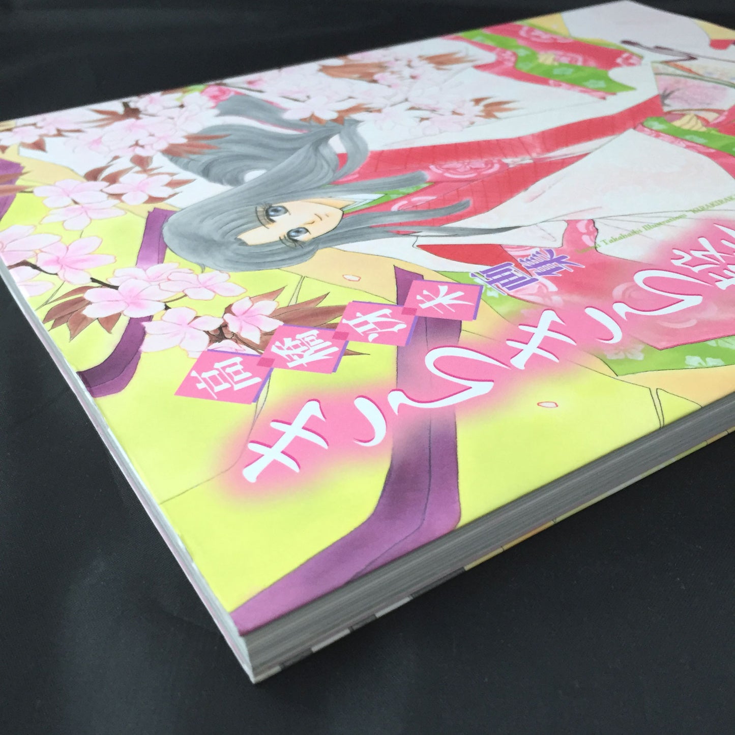 Kirakira Kaoru Saemi Takahashi Illustration ART BOOK
