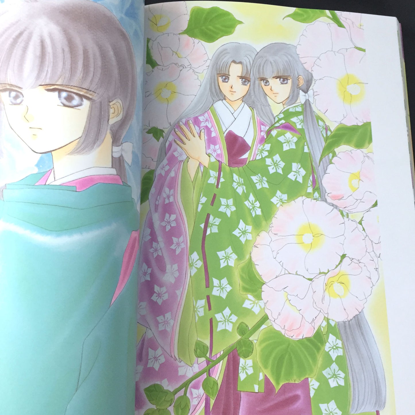 Kirakira Kaoru Saemi Takahashi Illustration ART BOOK