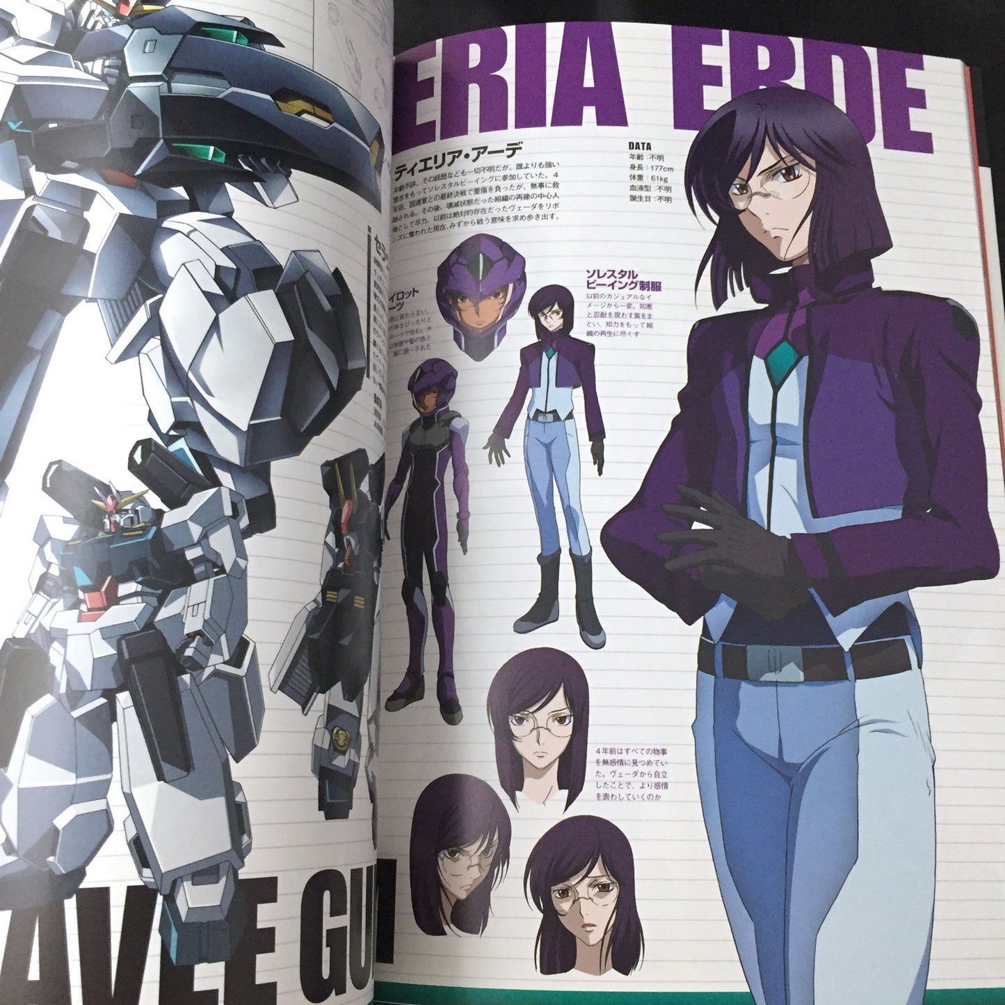 Mobile Suit Gundam 00 Second Season 4 years after Guide Book