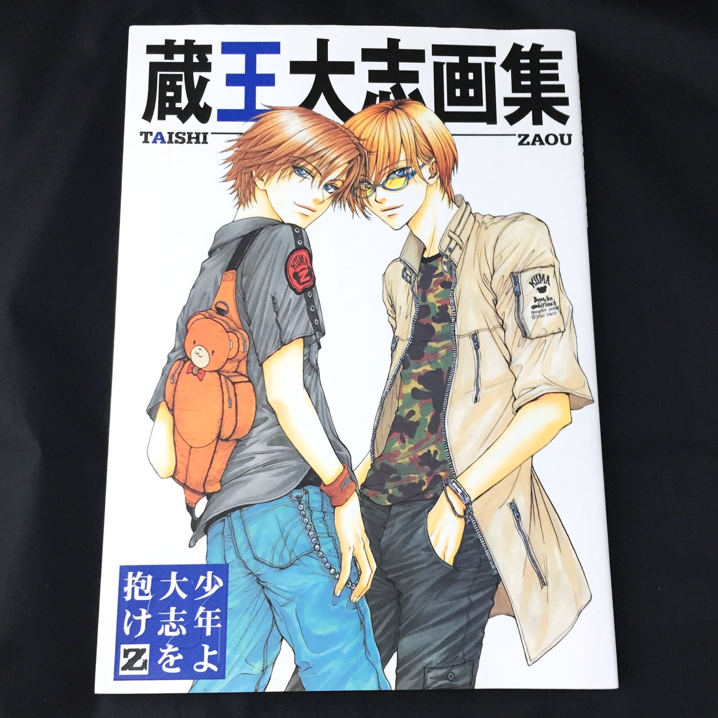 Taishi Zaou "Syonen yo taishi wo idake Z" ART BOOK