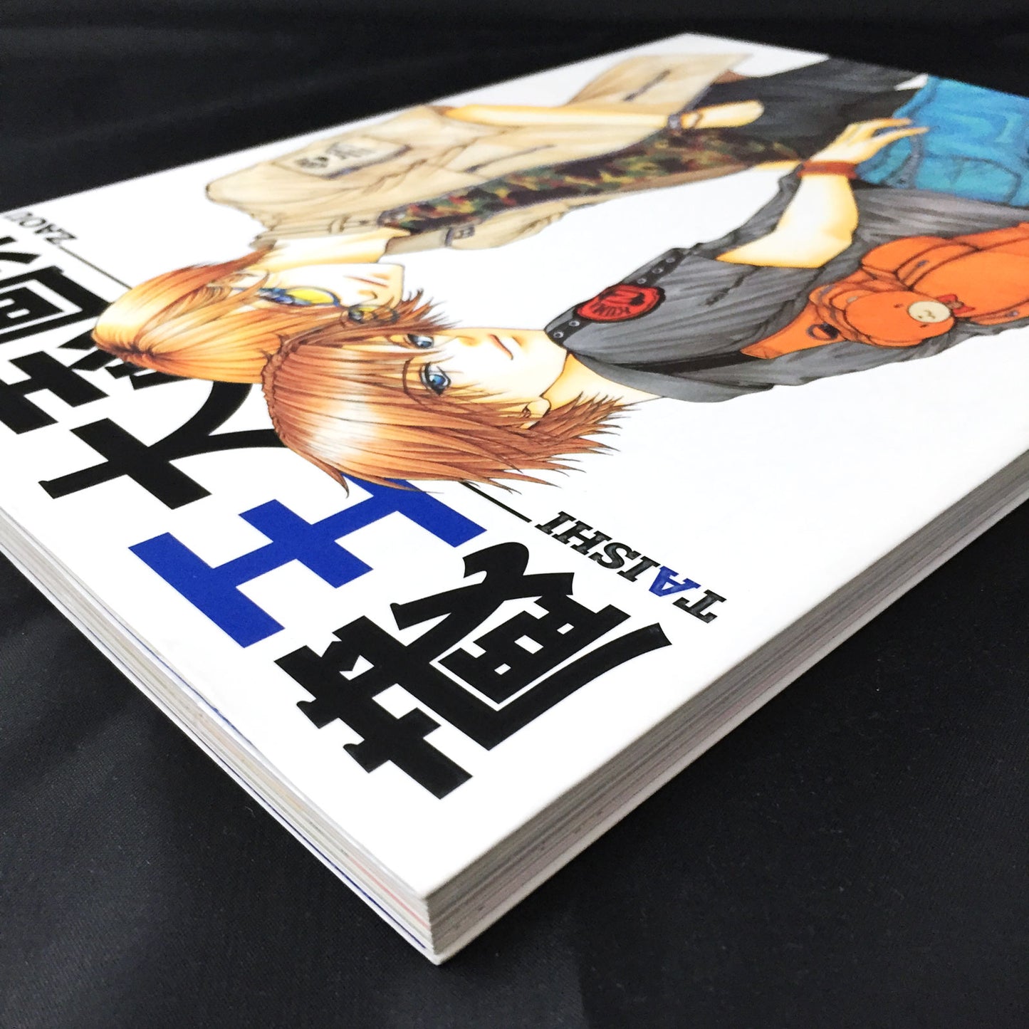 Taishi Zaou "Syonen yo taishi wo idake Z" ART BOOK