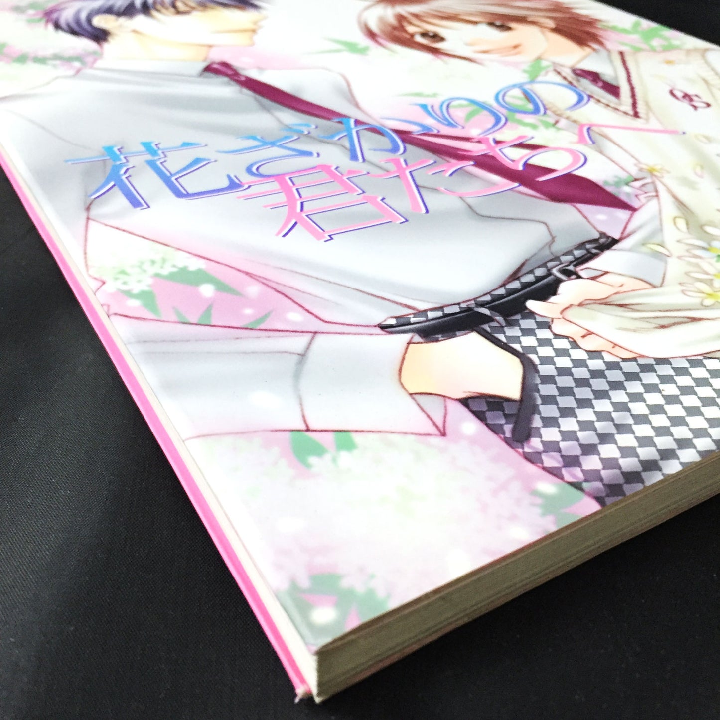 Hana Kimi Hisaya Nakajo Artworks