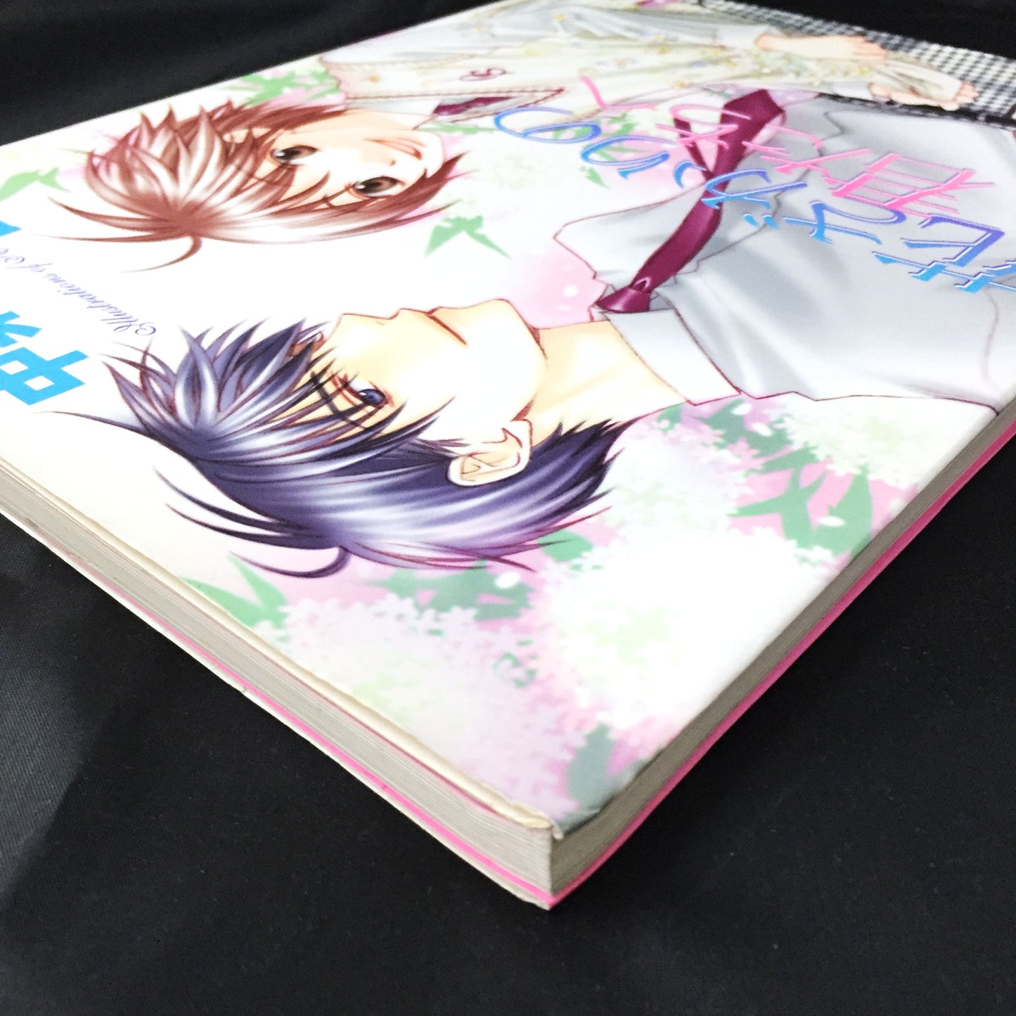 Hana Kimi Hisaya Nakajo Artworks