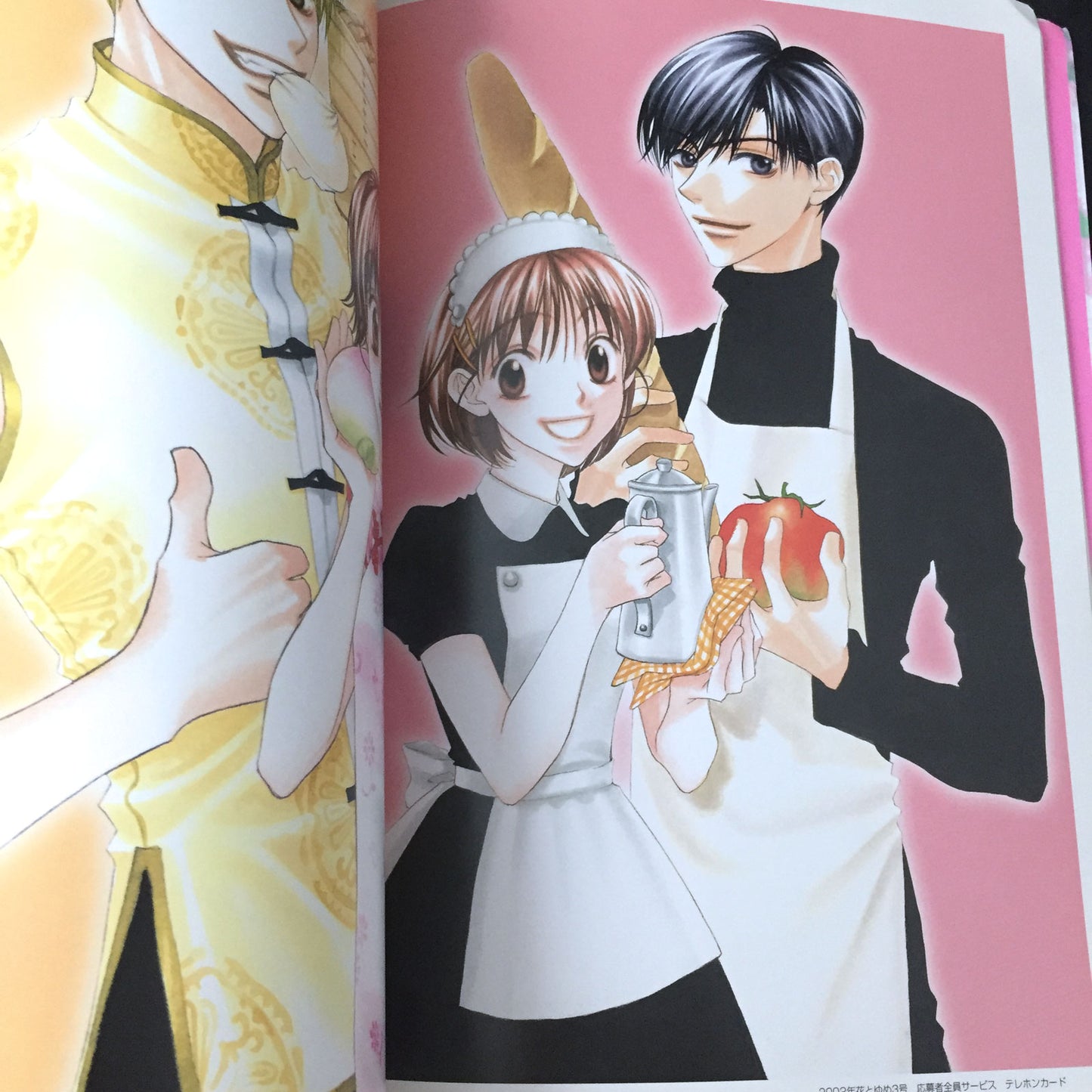 Hana Kimi Hisaya Nakajo Artworks