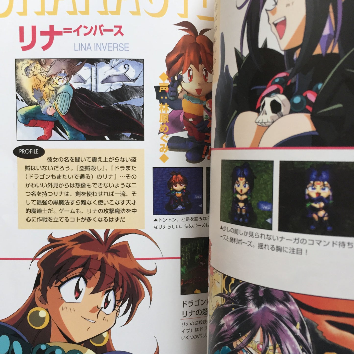 Slayers Royal Official Strategy Guide Book