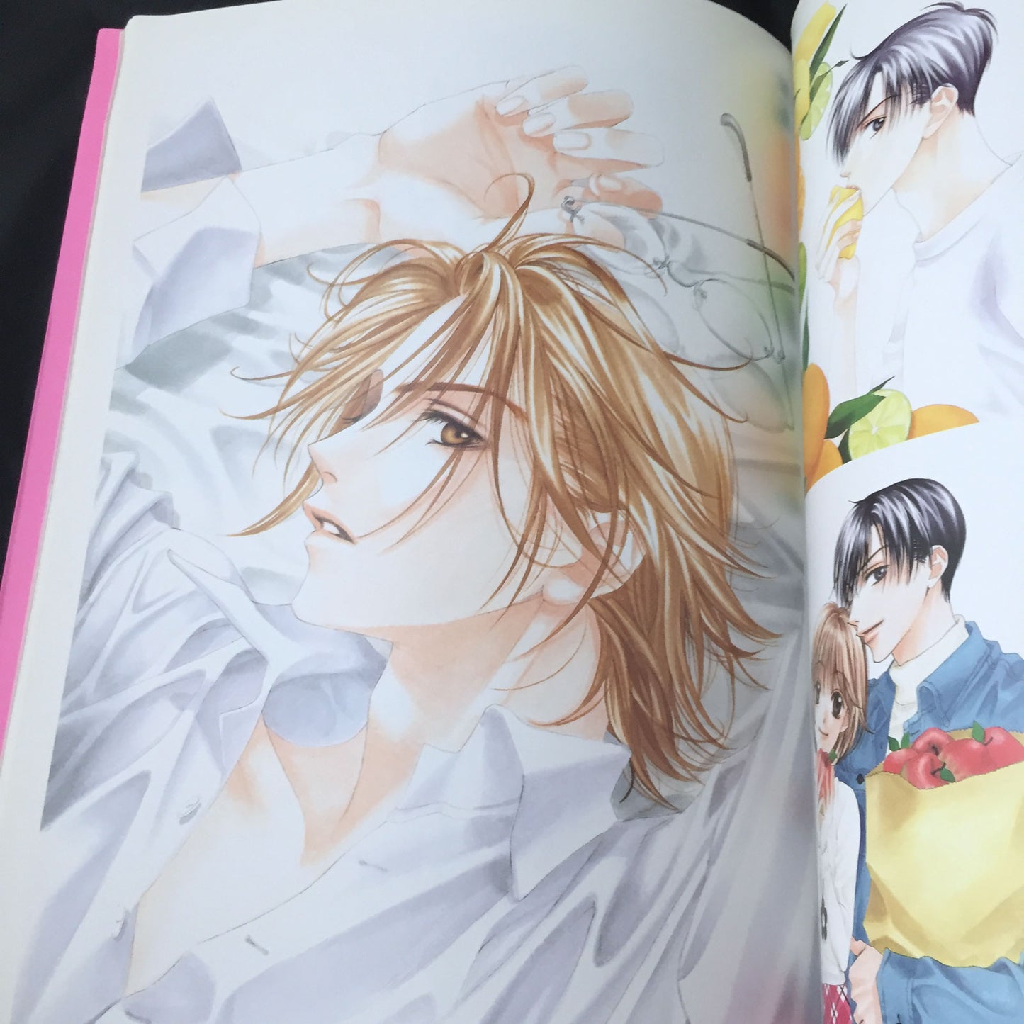 Hana Kimi Hisaya Nakajo Artworks