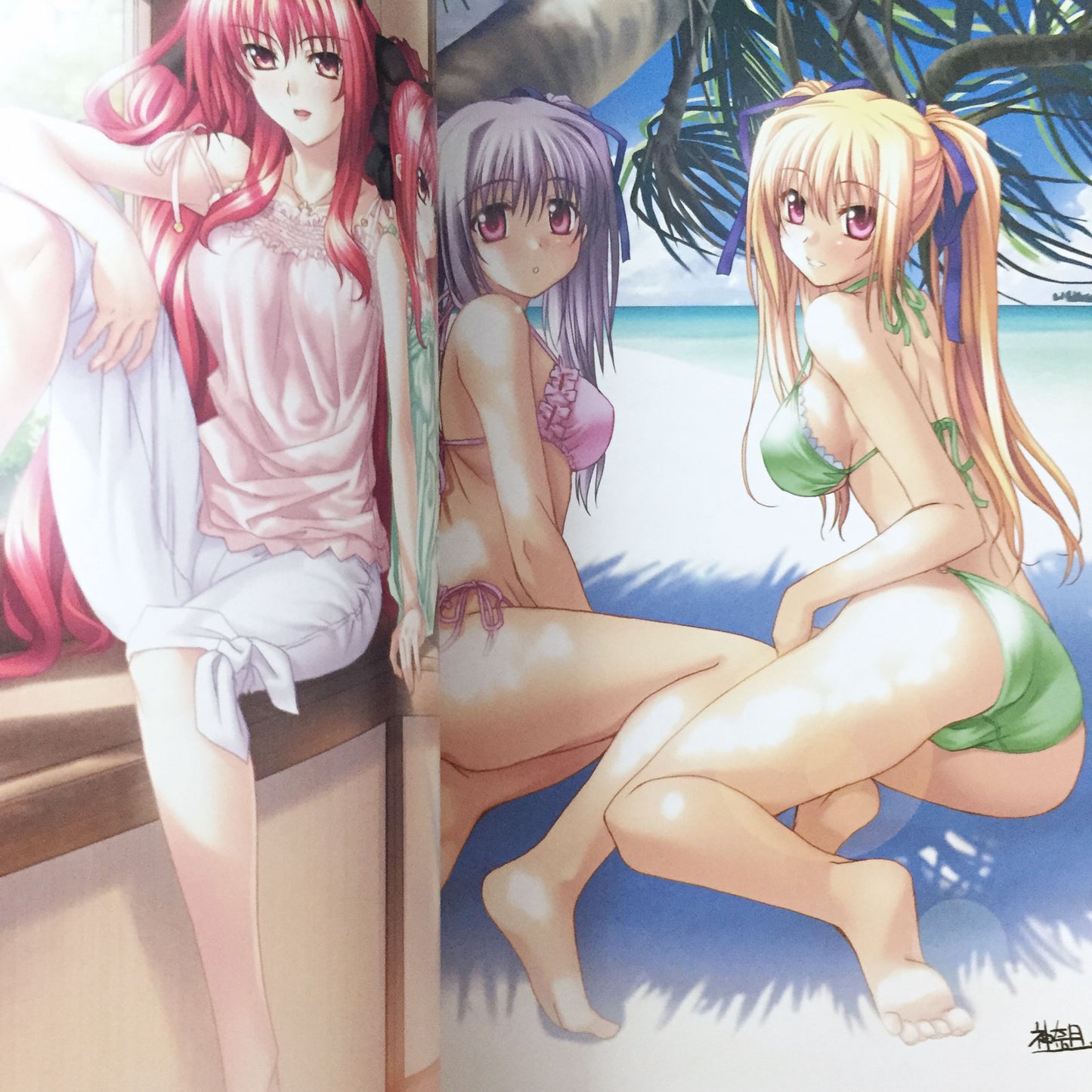 Noboru Kannatsuki Illustrations Shinkyoku Soukai Polyphonica