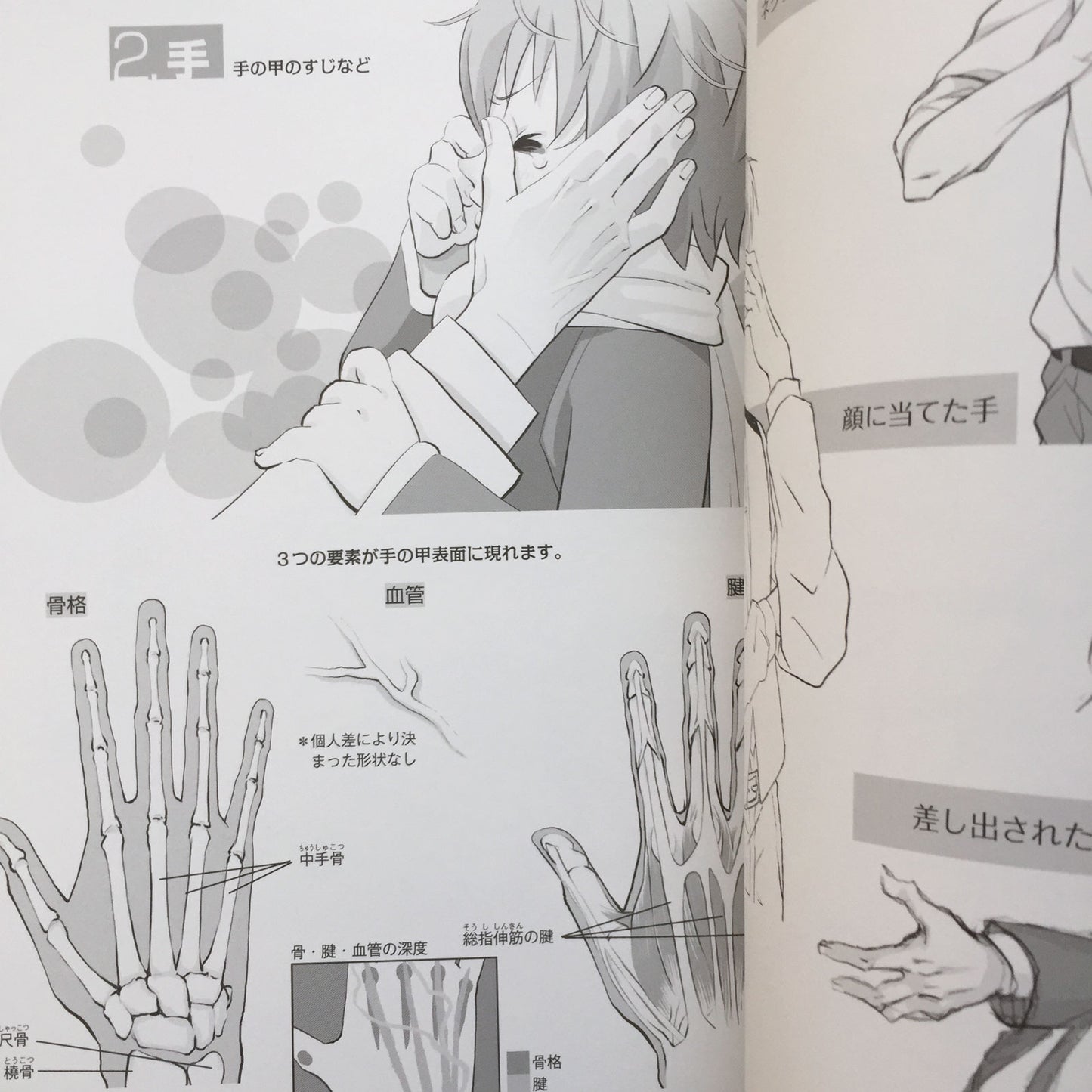 How To Draw Men's Moe Characters: face and body