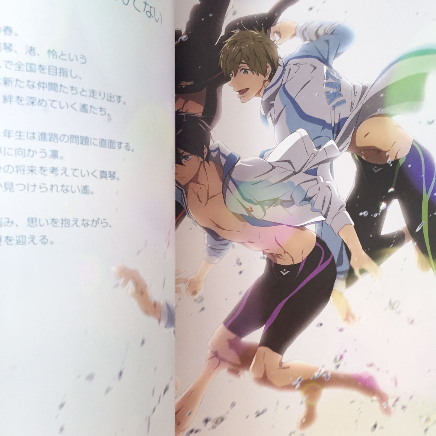 Free!-Eternal Summer- Official Fan Book