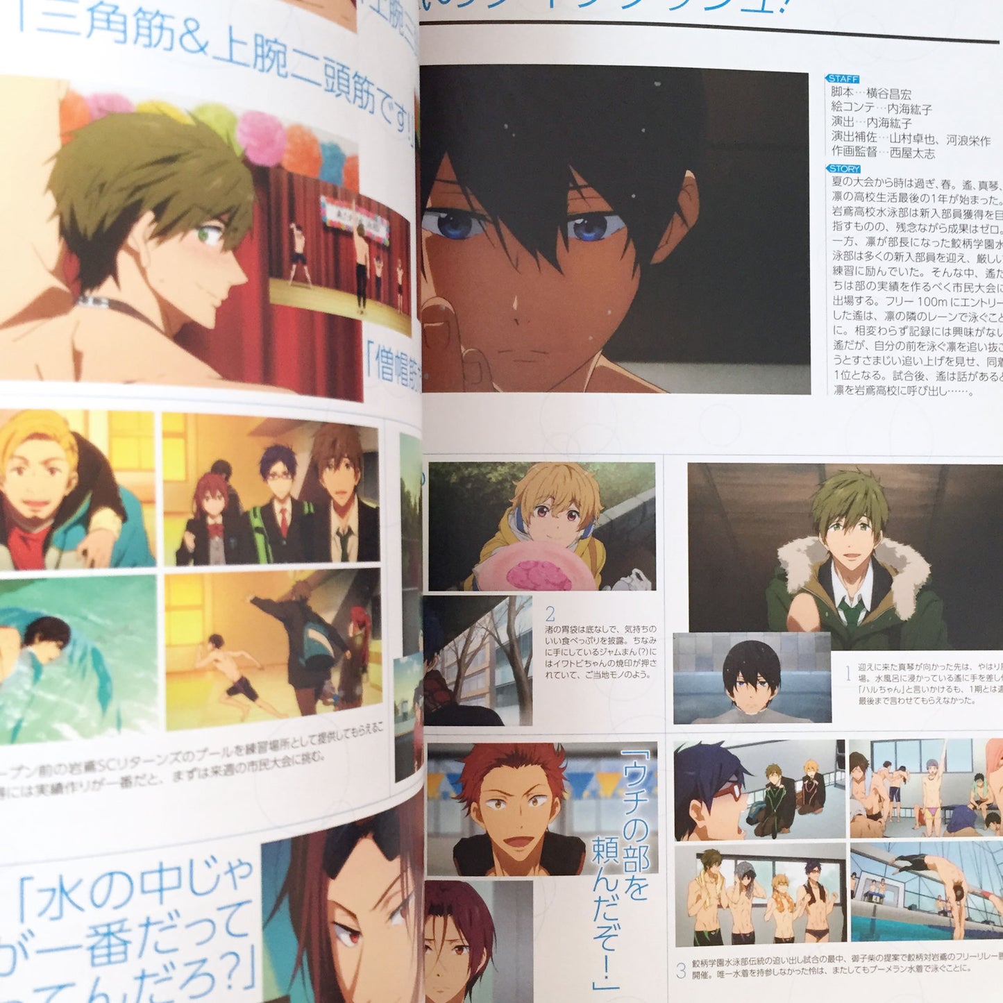 Free!-Eternal Summer- Official Fan Book