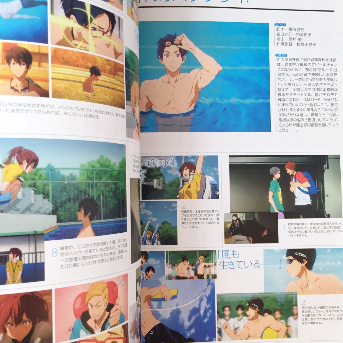 Free!-Eternal Summer- Official Fan Book