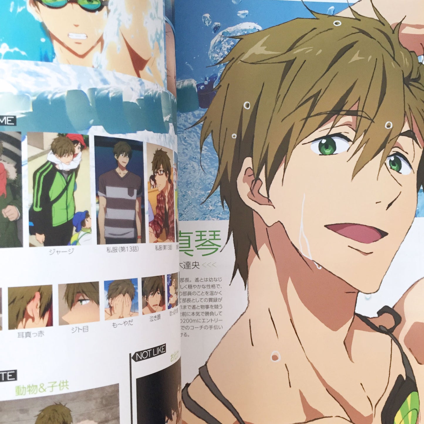 Free!-Eternal Summer- Official Fan Book
