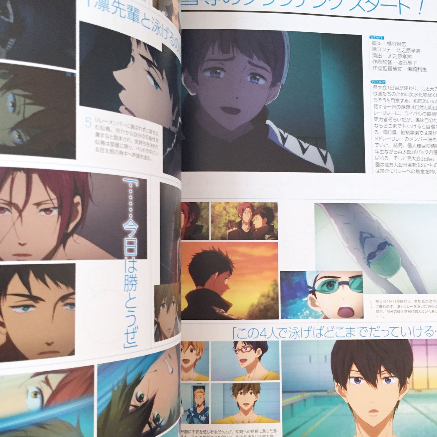 Free!-Eternal Summer- Official Fan Book