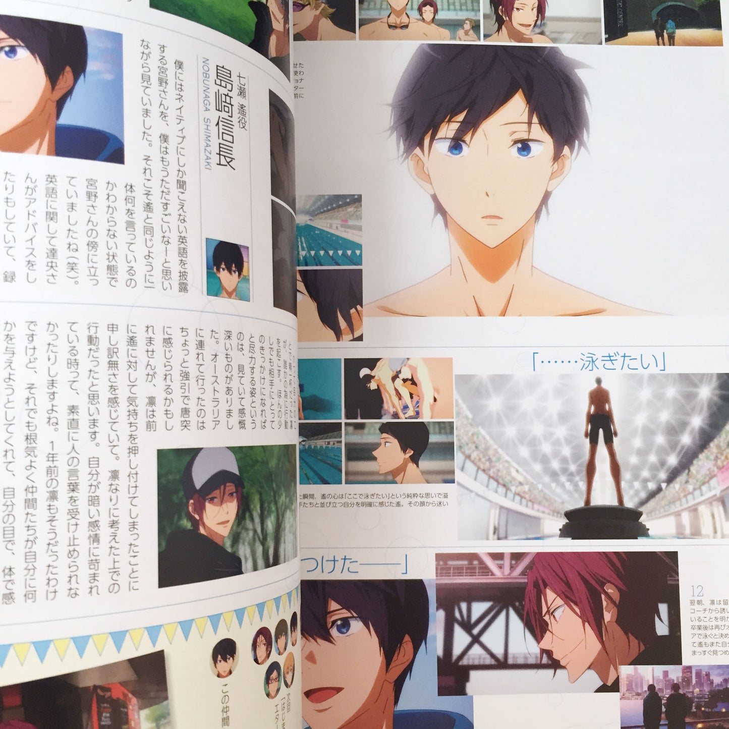 Free!-Eternal Summer- Official Fan Book