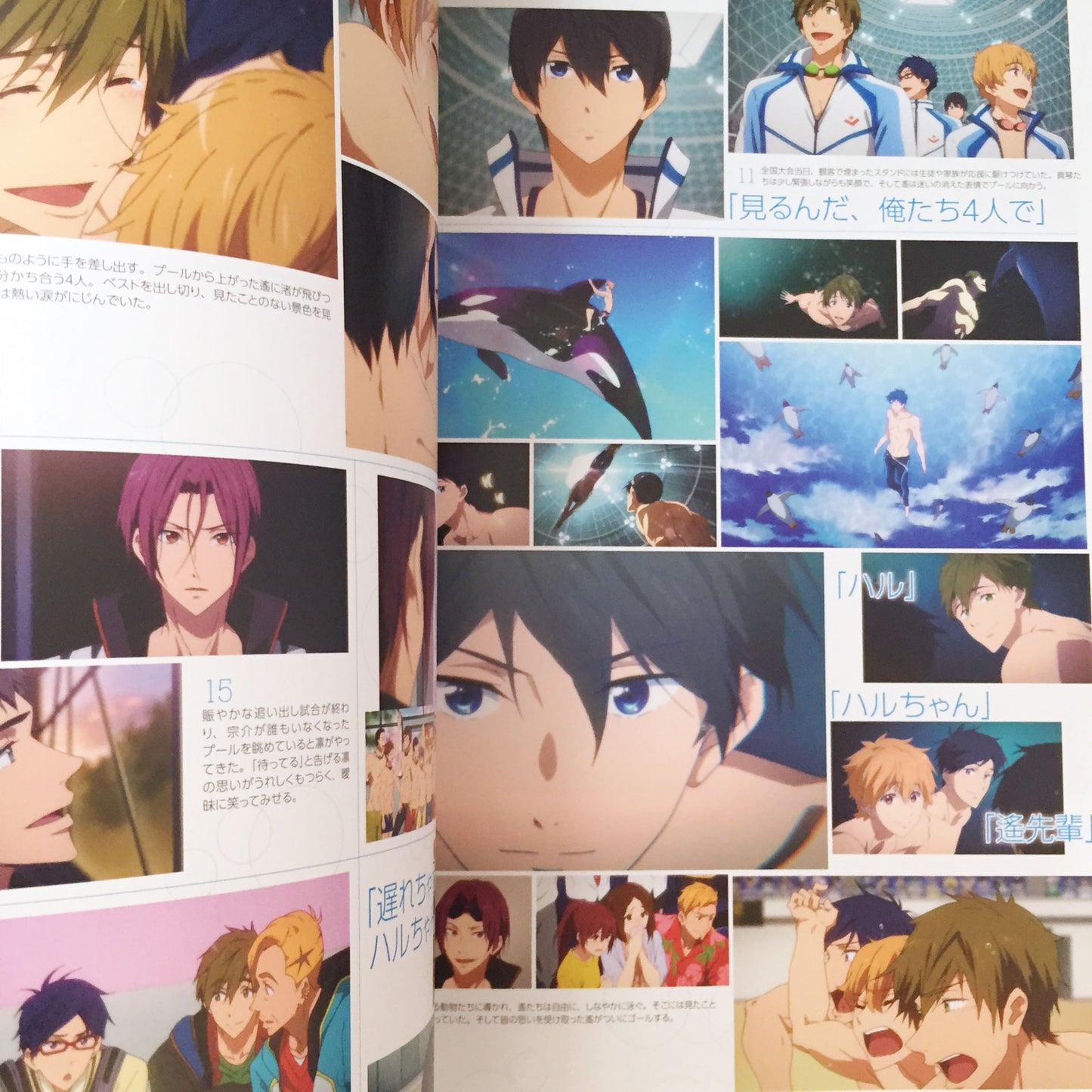 Free!-Eternal Summer- Official Fan Book