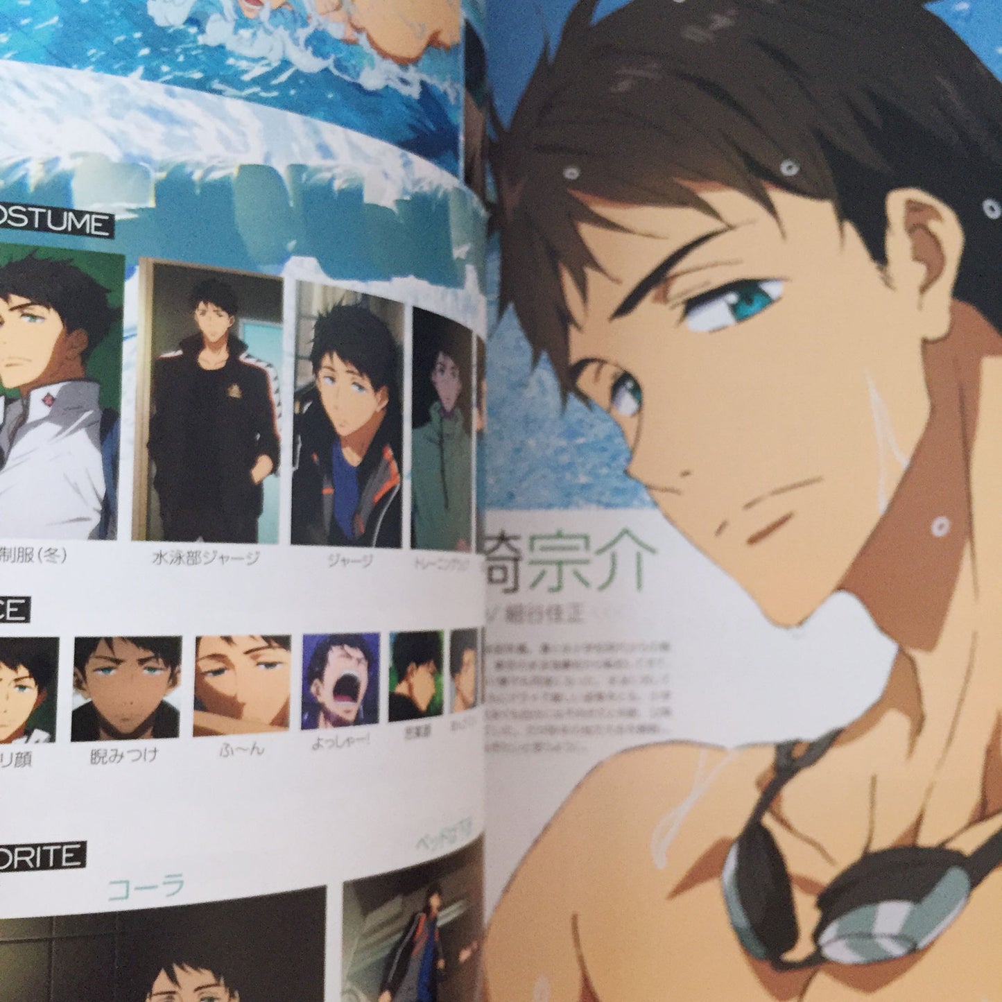 Free!-Eternal Summer- Official Fan Book