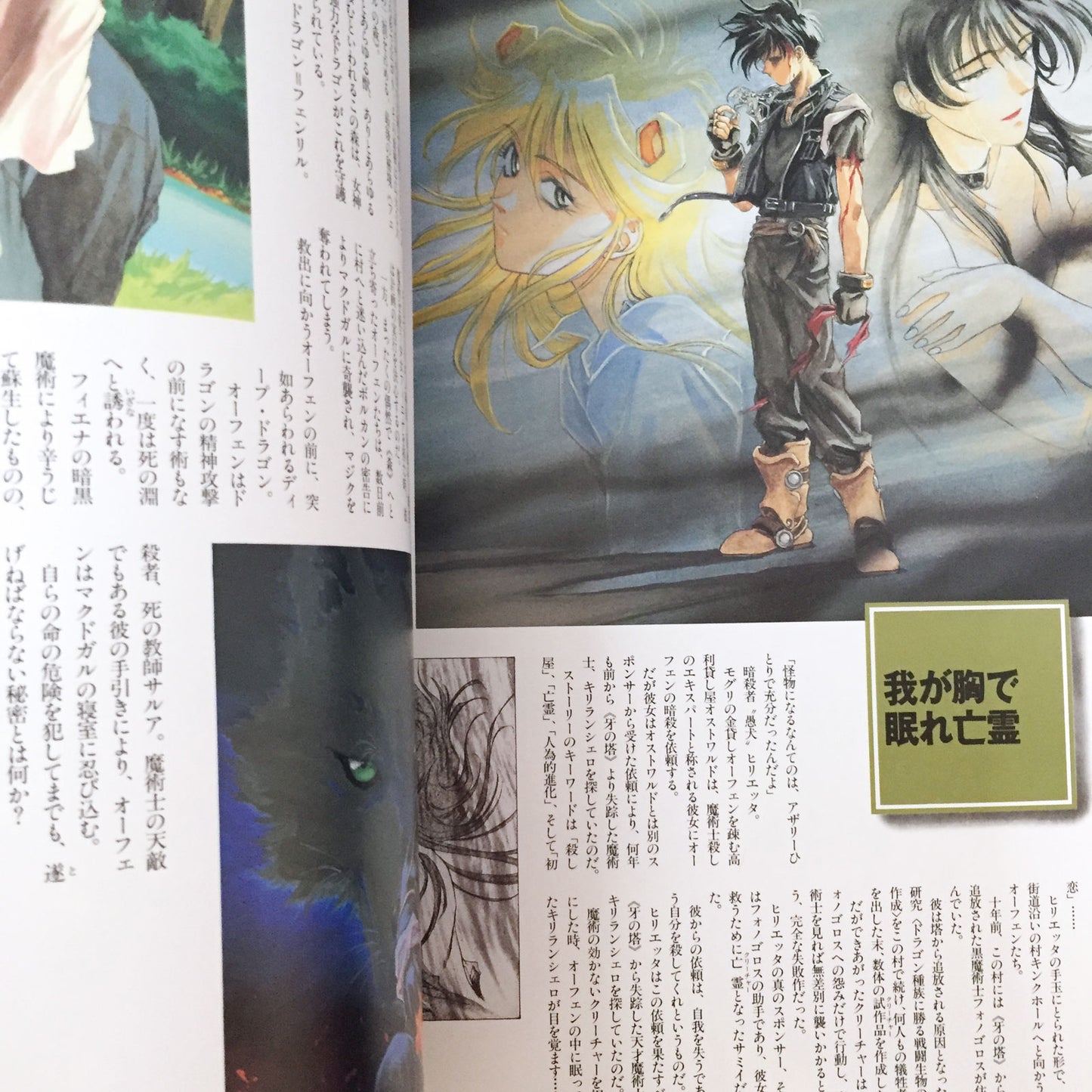 Majutsushi Orphen DX Dragon Magazine Collection