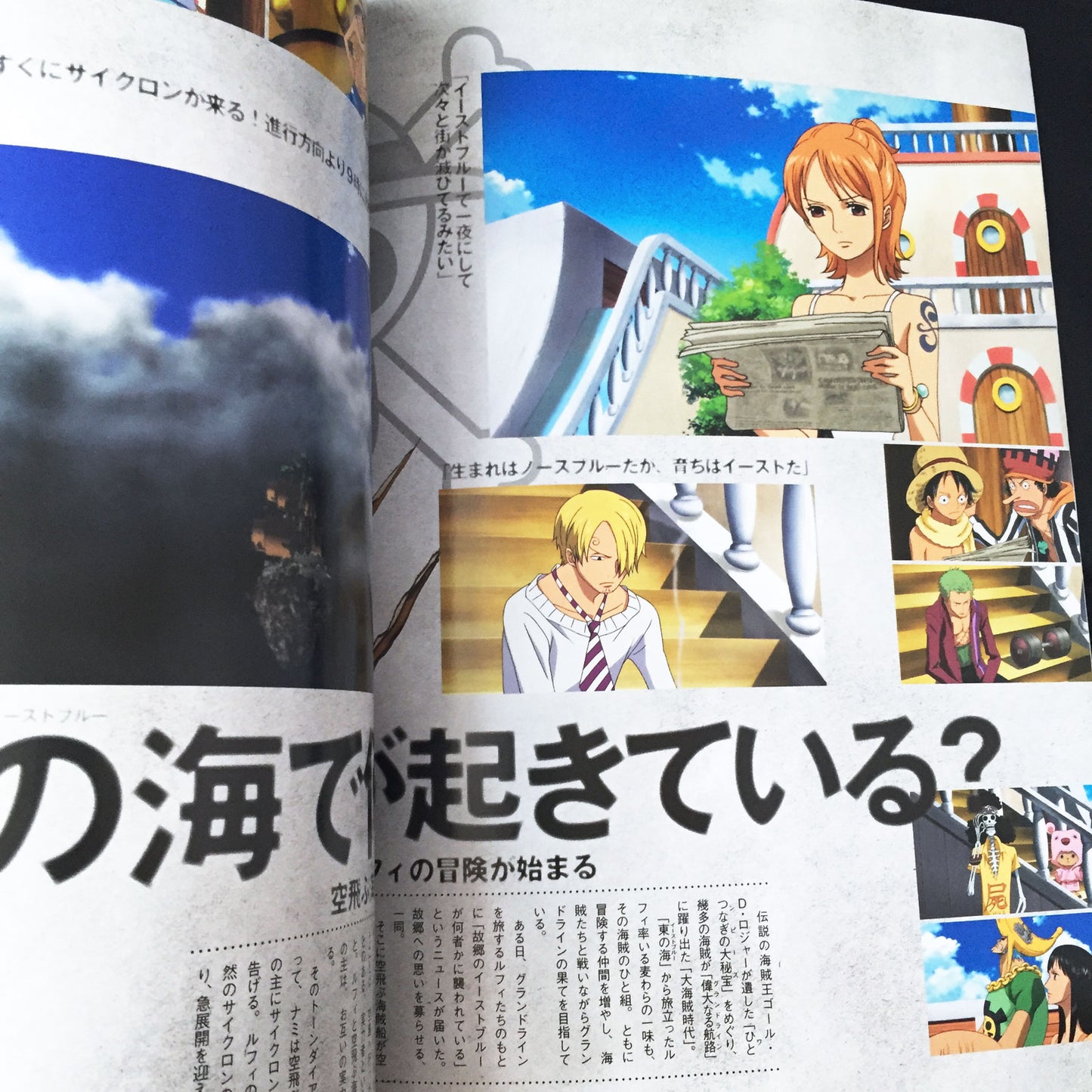One Piece PIA, The Movie Strong World Guide Book w/Poster & Card