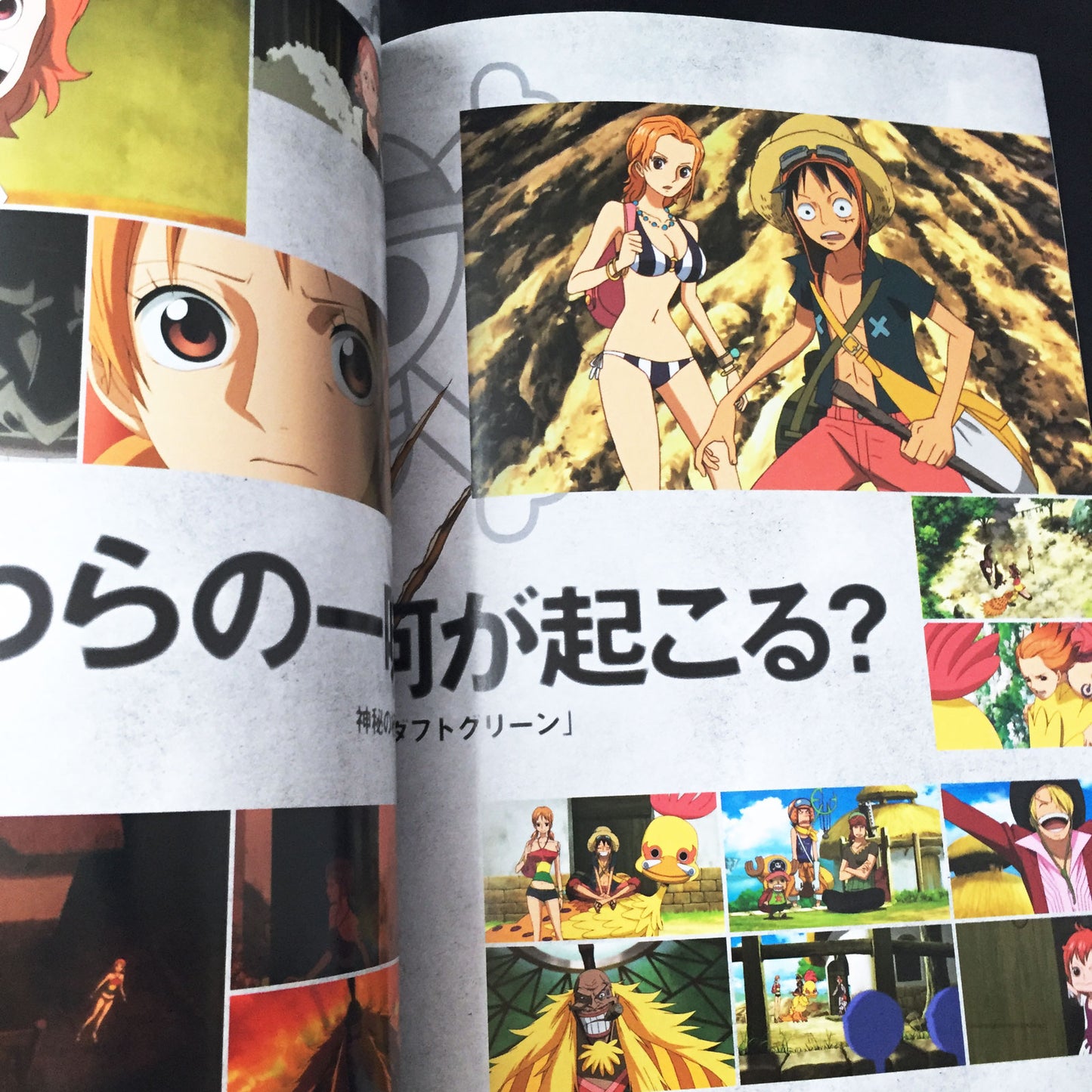 One Piece PIA, The Movie Strong World Guide Book w/Poster & Card