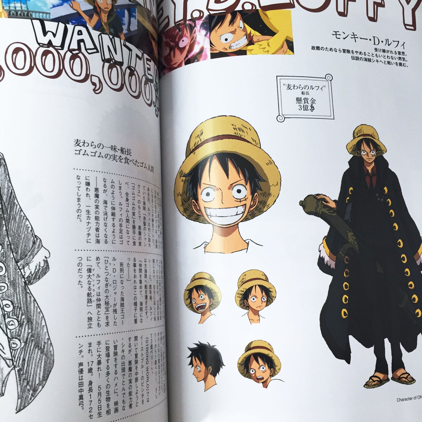One Piece PIA, The Movie Strong World Guide Book w/Poster & Card