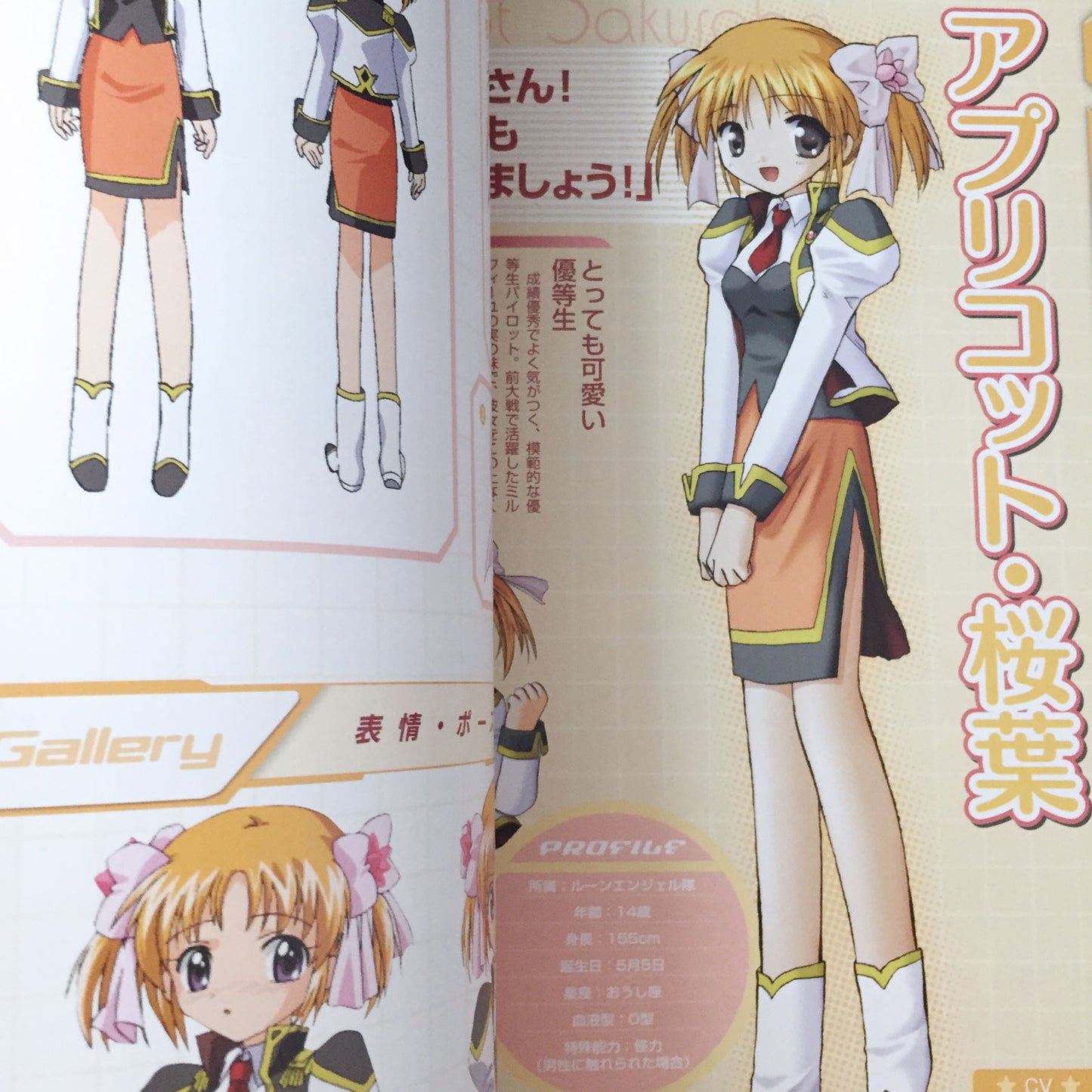 Galaxy Angel 2 Zettai Ryoiki no Tobira 1st Fan Book