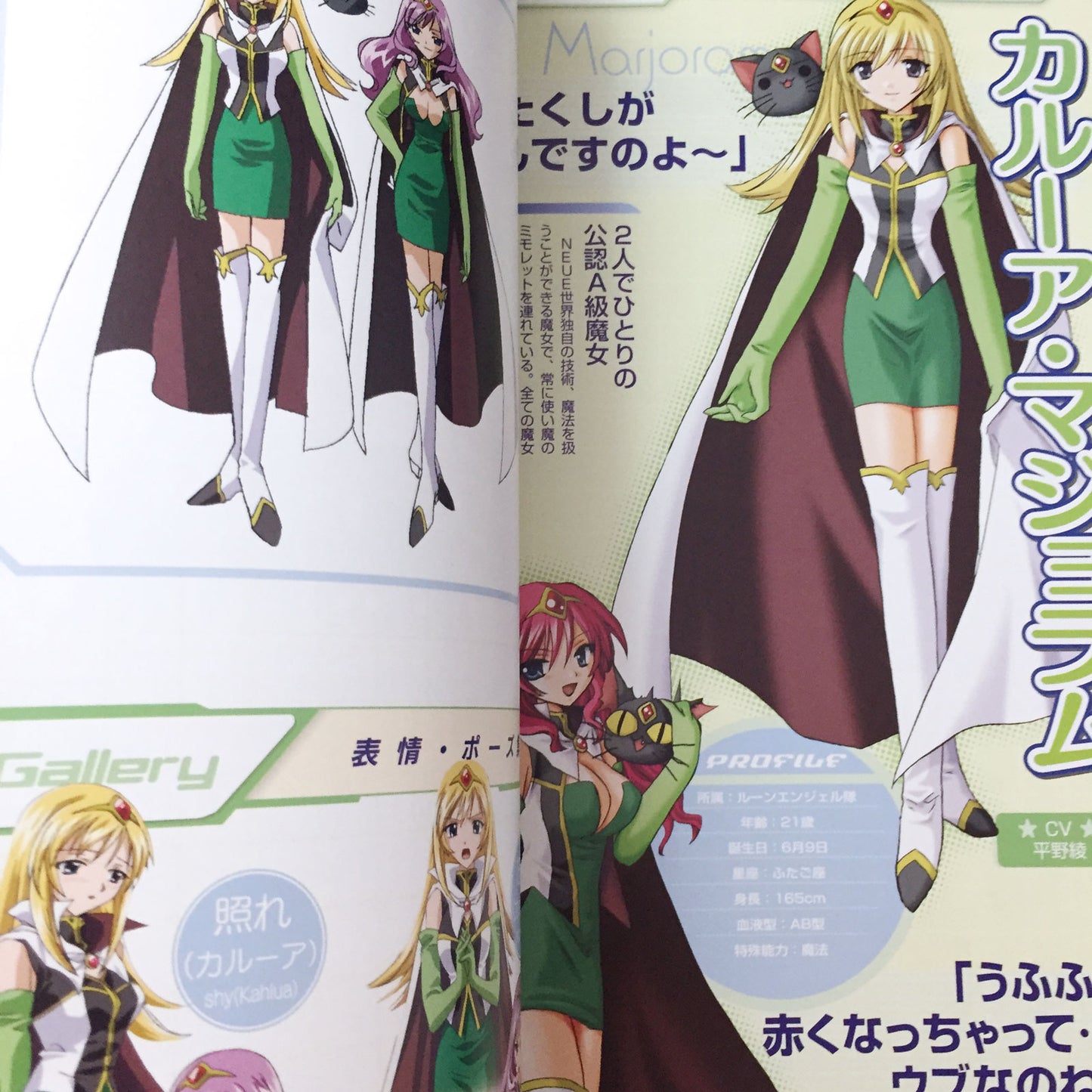 Galaxy Angel 2 Zettai Ryoiki no Tobira 1st Fan Book