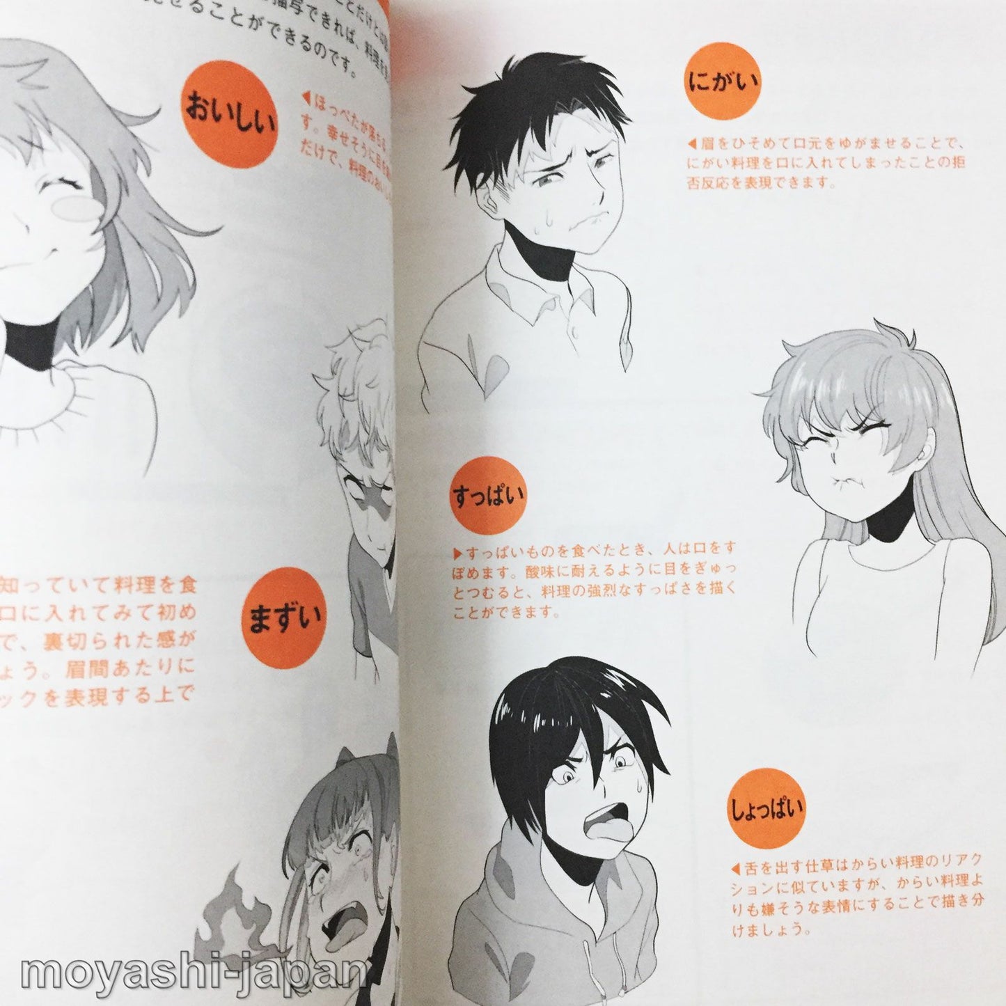 Manga Character Food Reference Collection