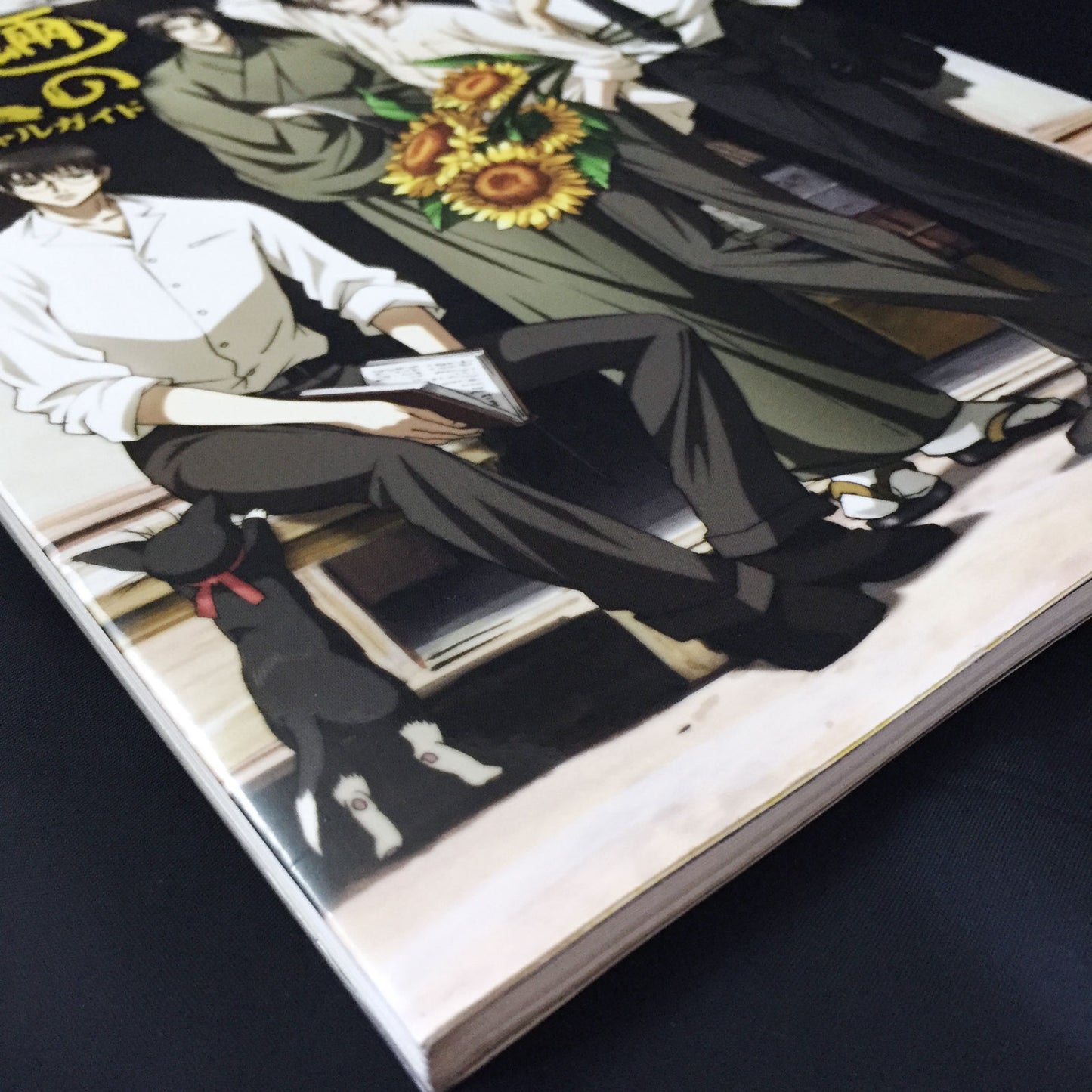 Mouryou no Hako TV Anime Official Guide Book