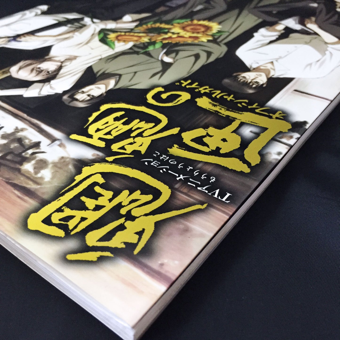 Mouryou no Hako TV Anime Official Guide Book