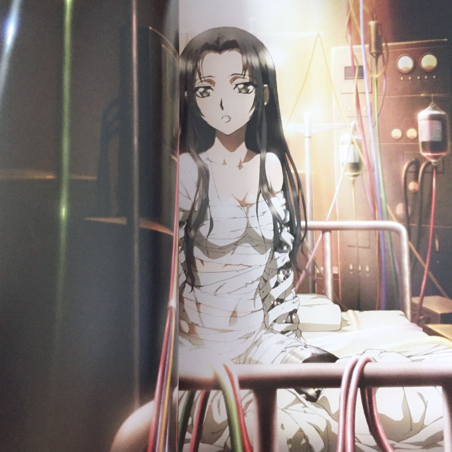 Mouryou no Hako TV Anime Official Guide Book