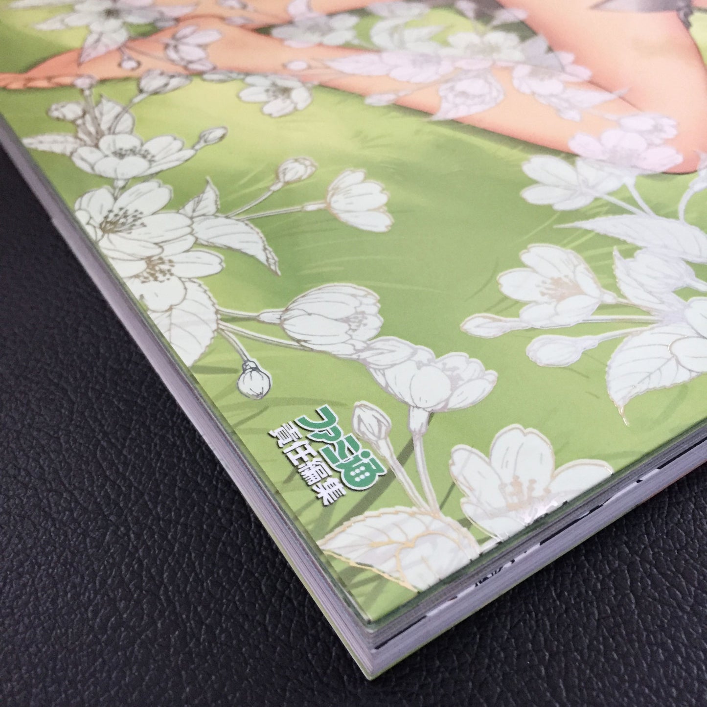 Shining Wind Collection of Visual Materials