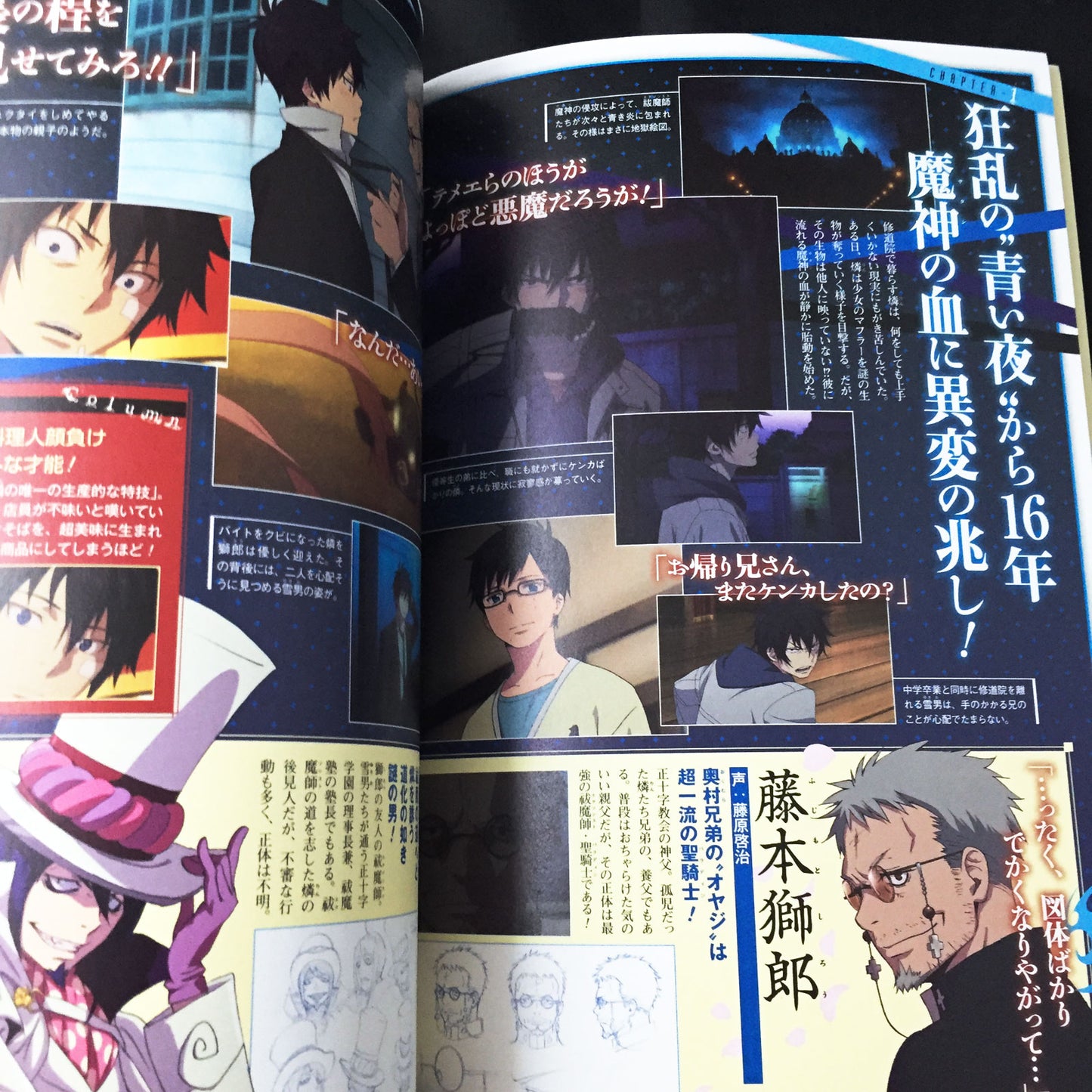 Blue Exorcist COLOR ARCHIVE Animation & Comic Cisual Guide Book
