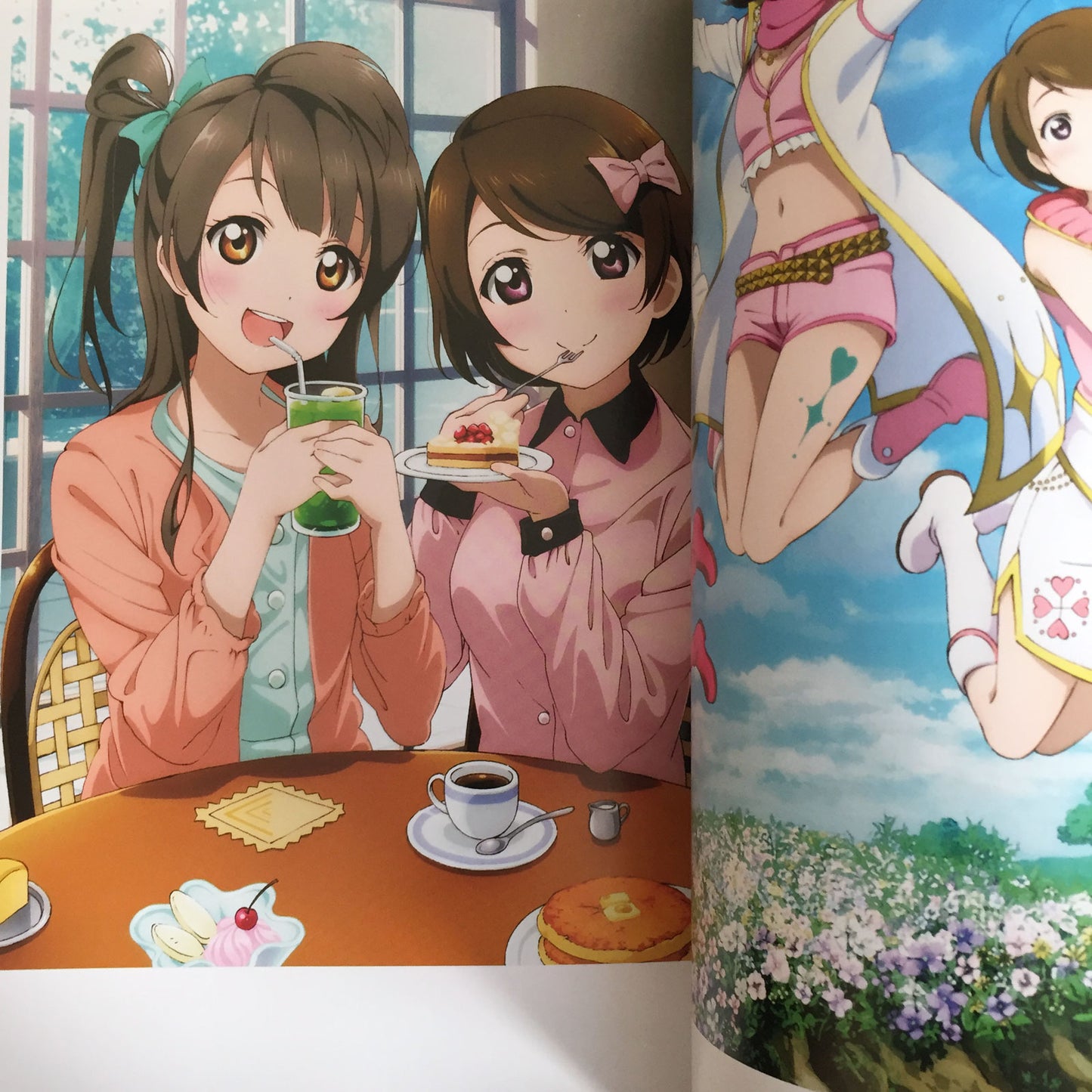 Love Live Perfect Visual Collection SMILE