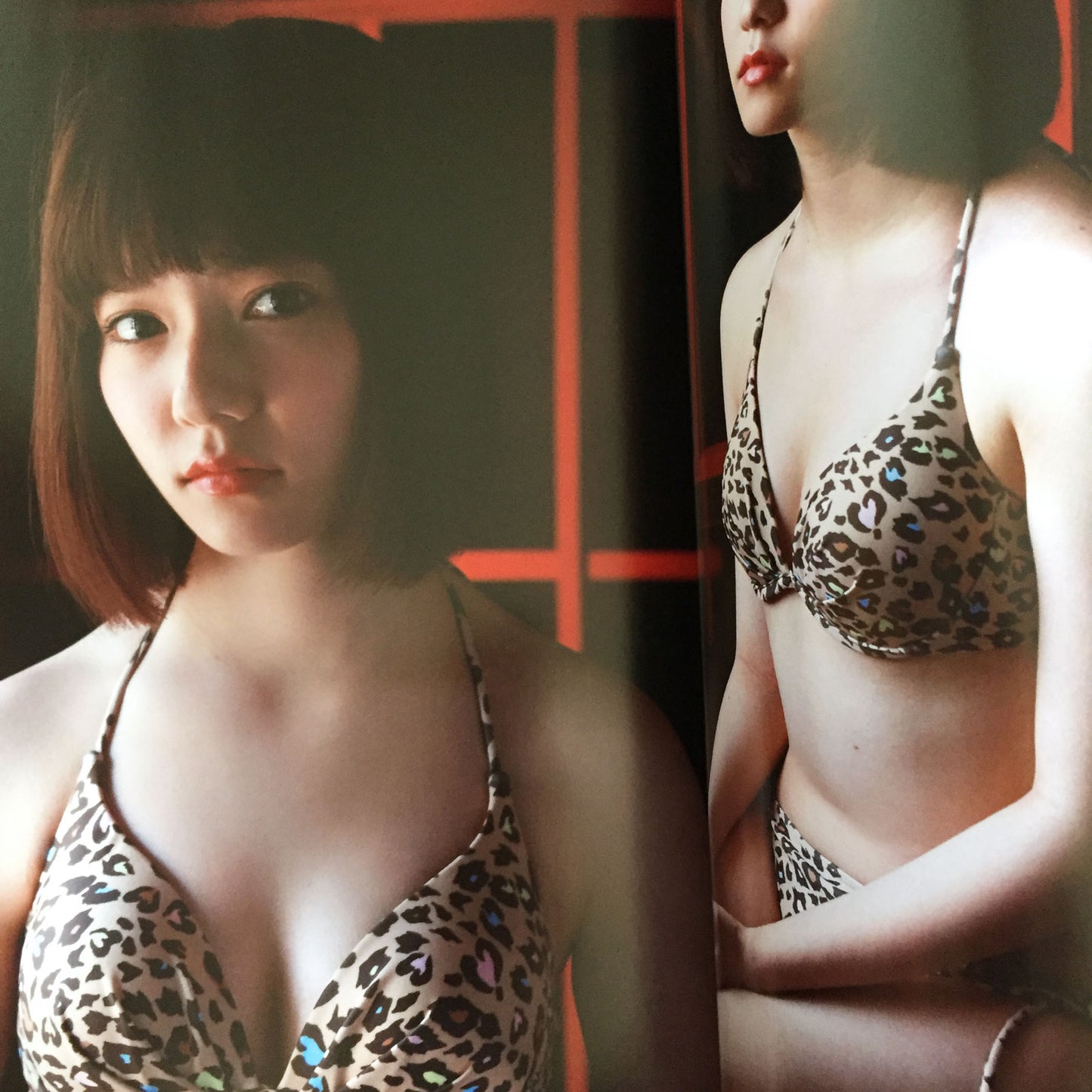 Haruka Shimazaki Photo Book "Paruru komaru" / AKB48