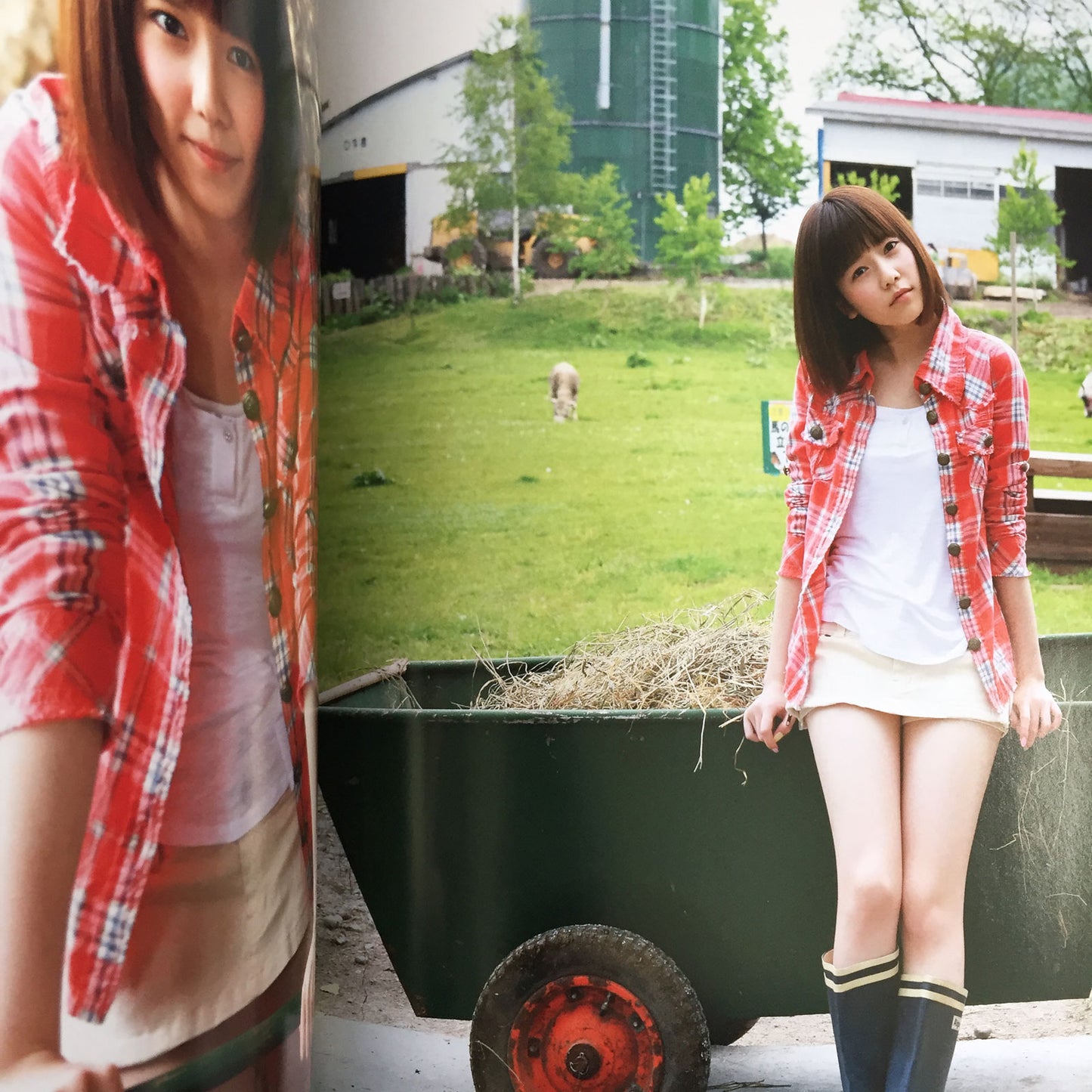Haruka Shimazaki Photo Book "Paruru komaru" / AKB48