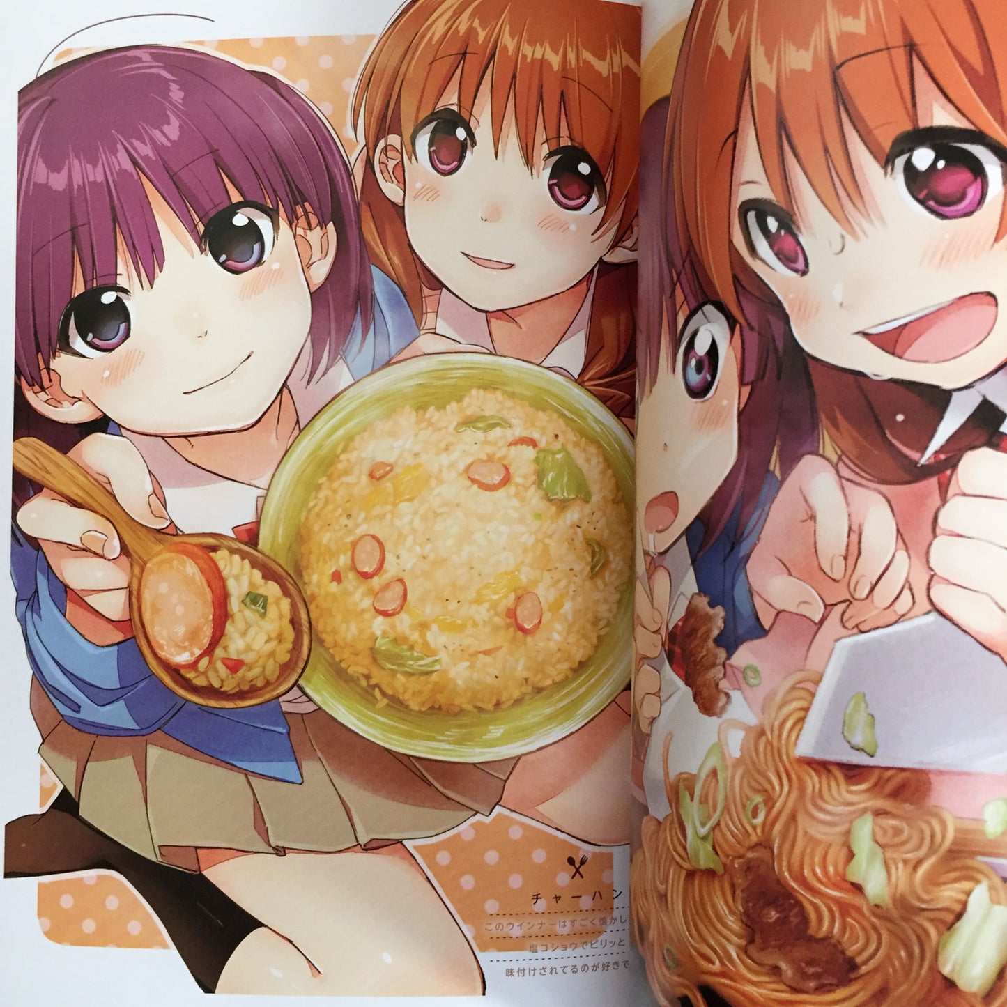 Gourmet Girl Graffiti Art Book Makoto Kawai