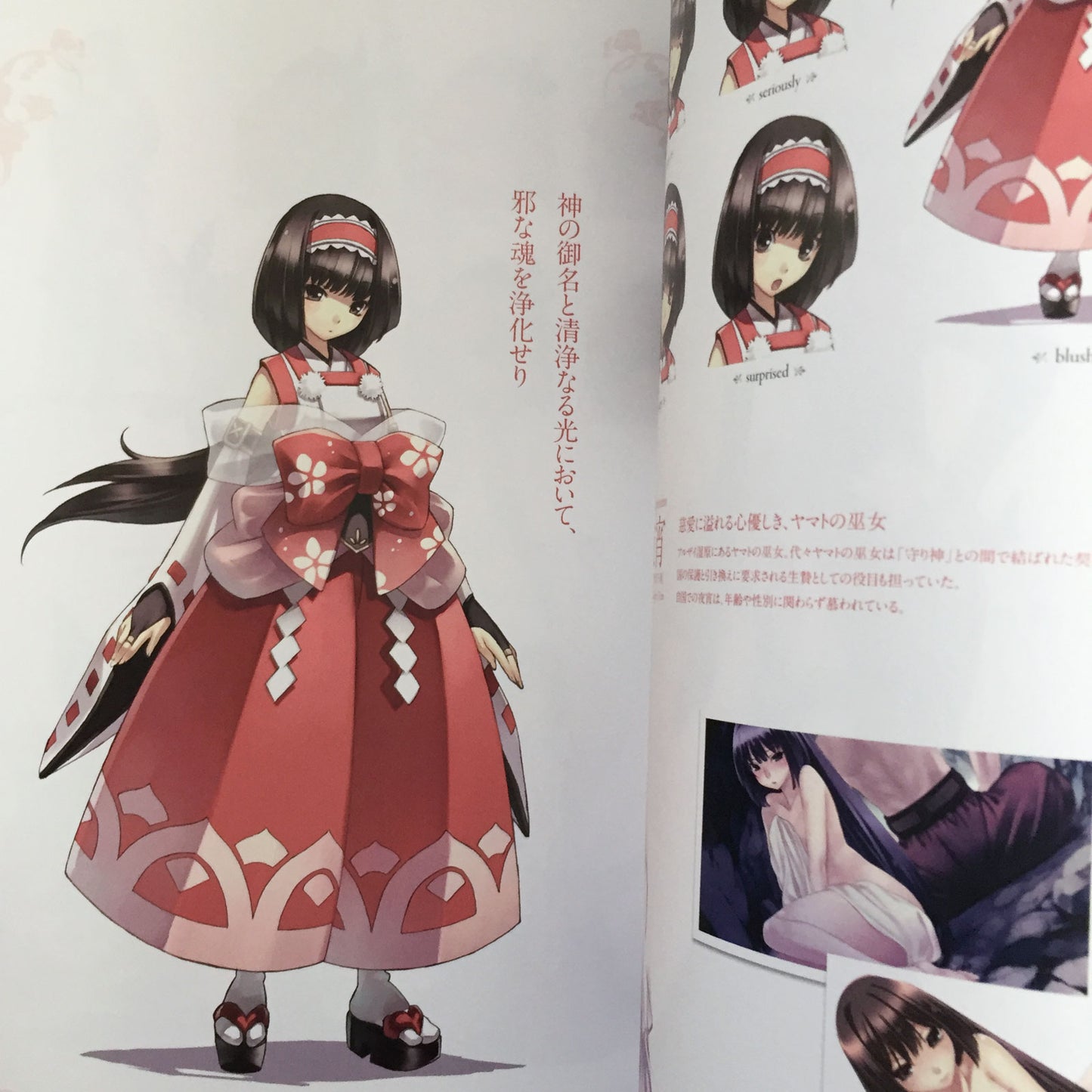Record of Agarest War Heroines Visual Book