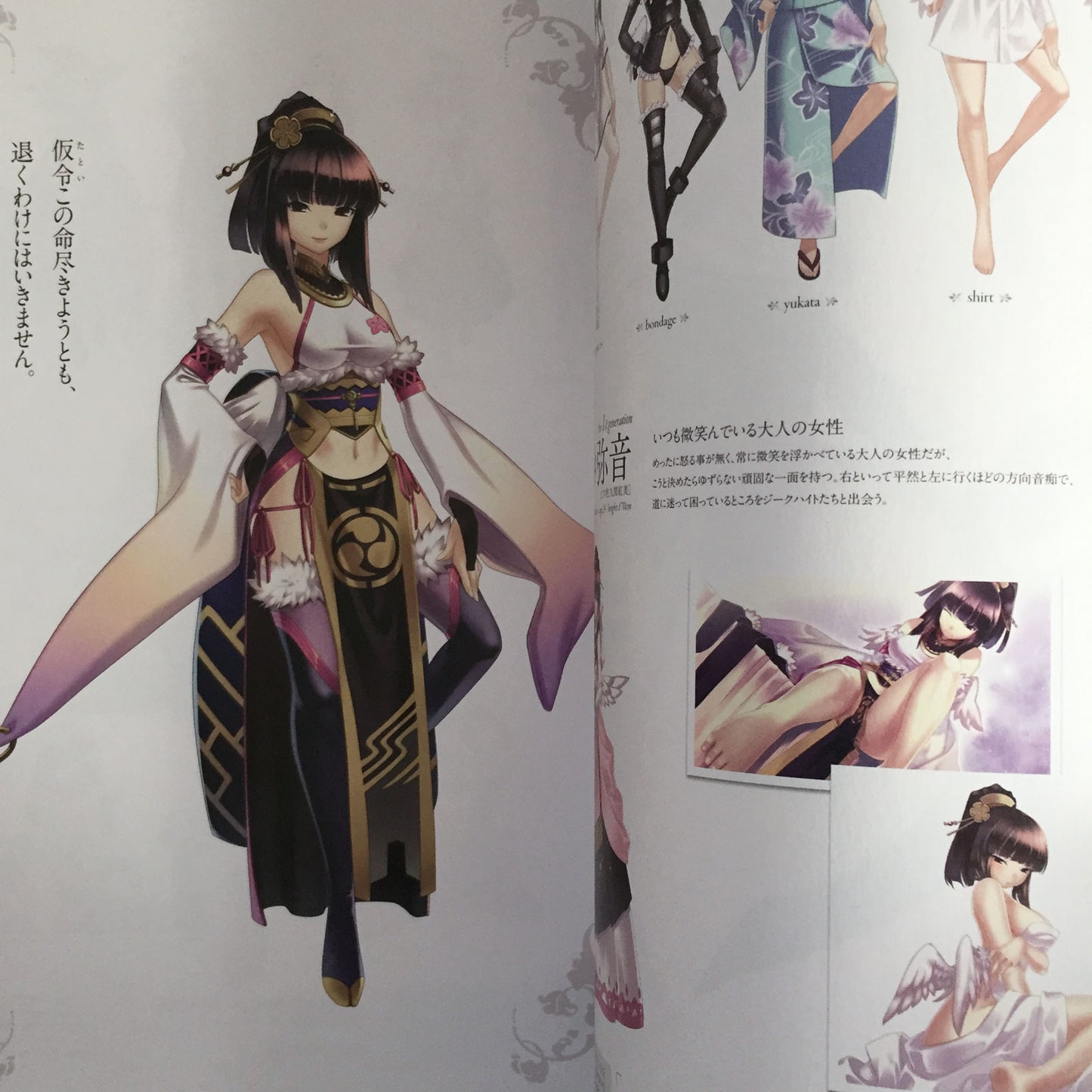 Record of Agarest War Heroines Visual Book