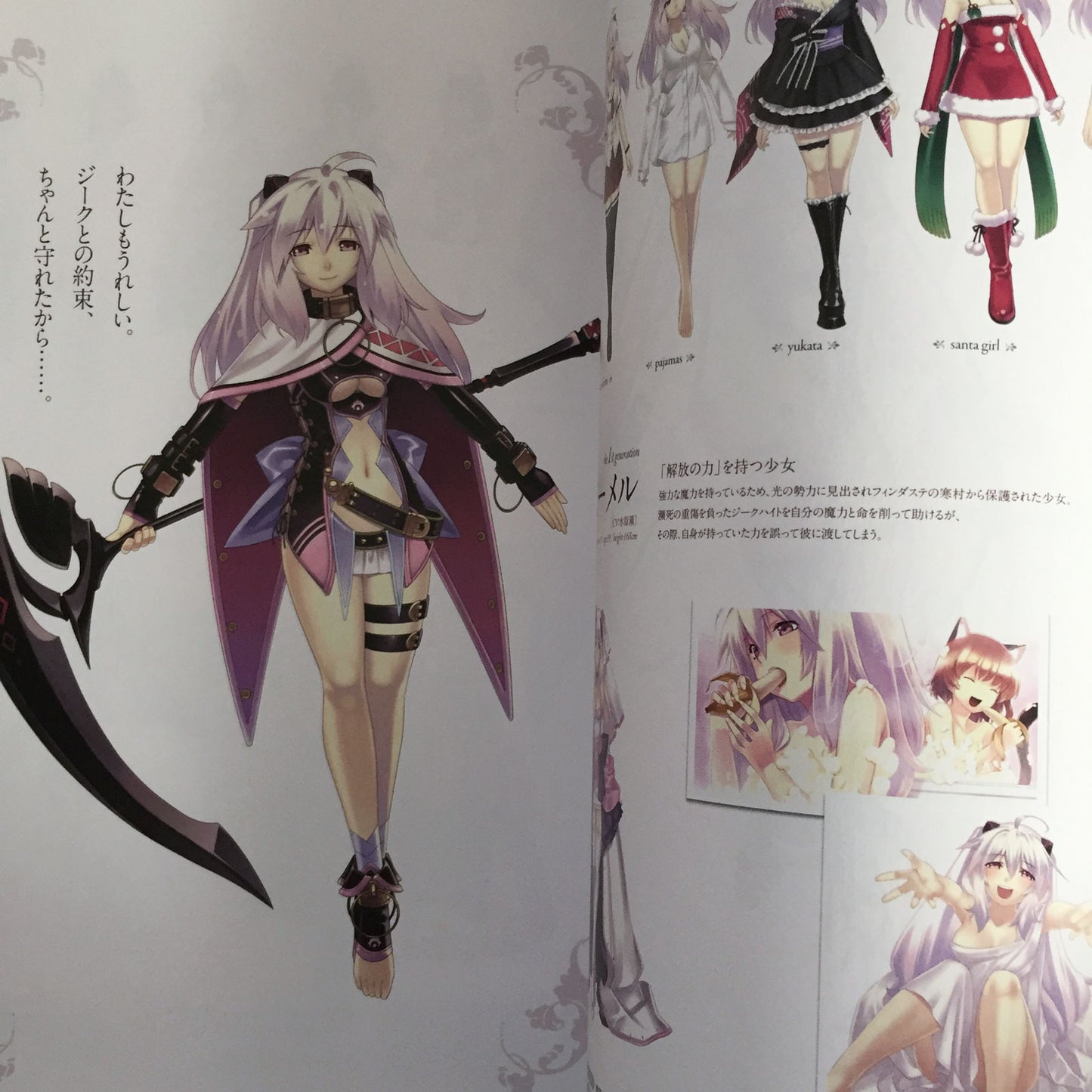 Record of Agarest War Heroines Visual Book