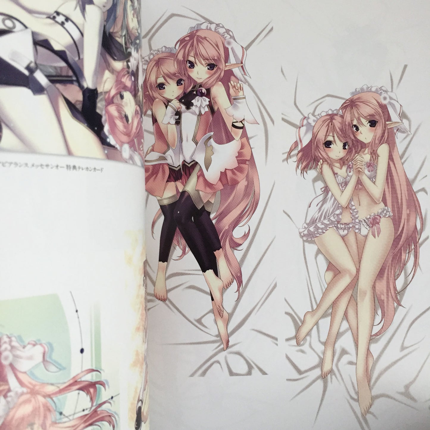 Record of Agarest War Heroines Visual Book