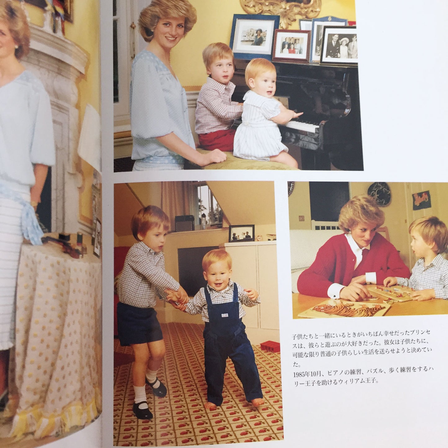 DIANA PRINCESS OF WALES