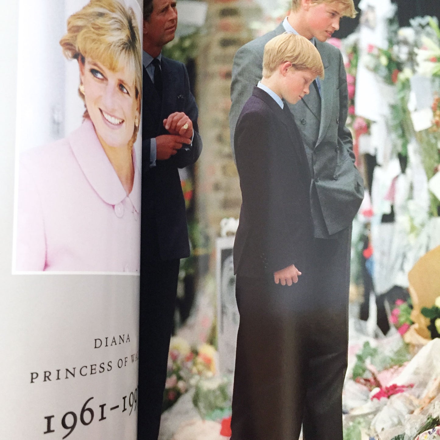 DIANA PRINCESS OF WALES