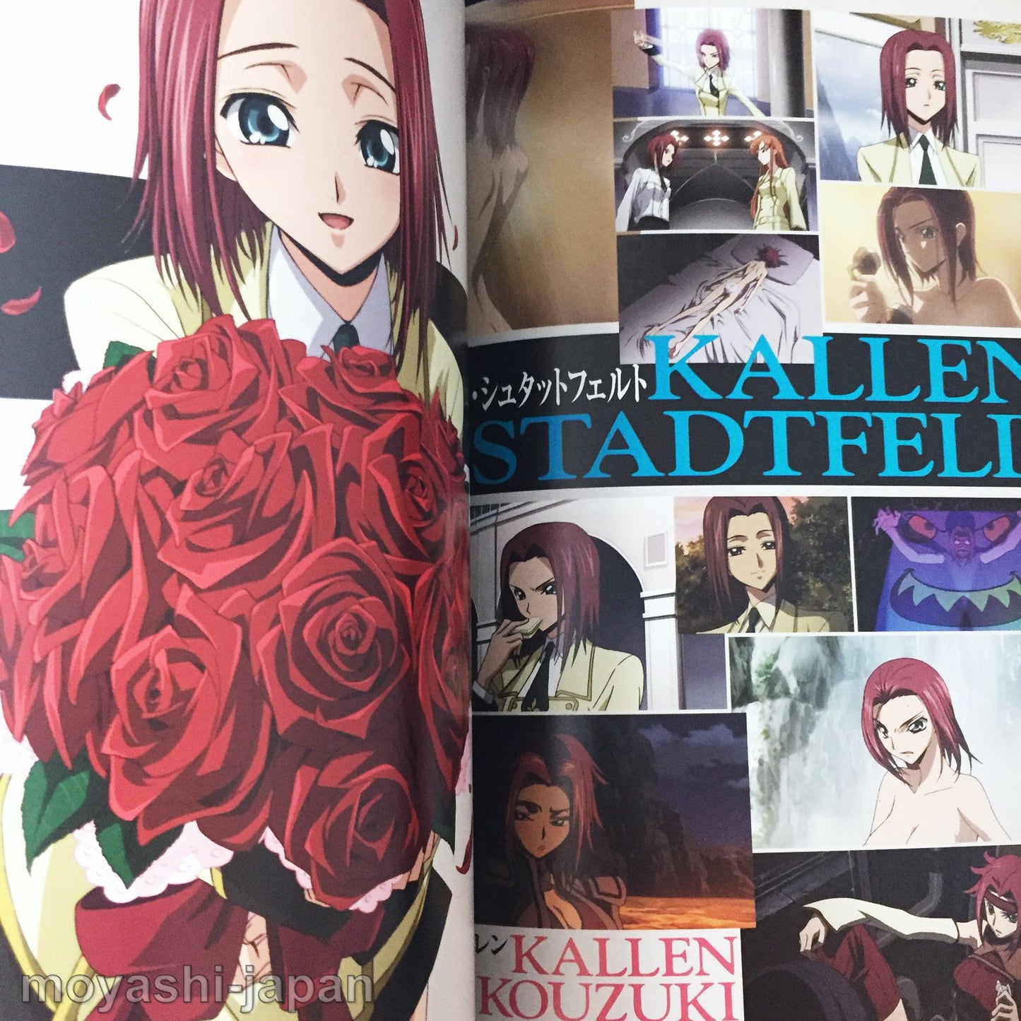Code Geass Lelouch of the Rebellion Official Guide Book The Complete