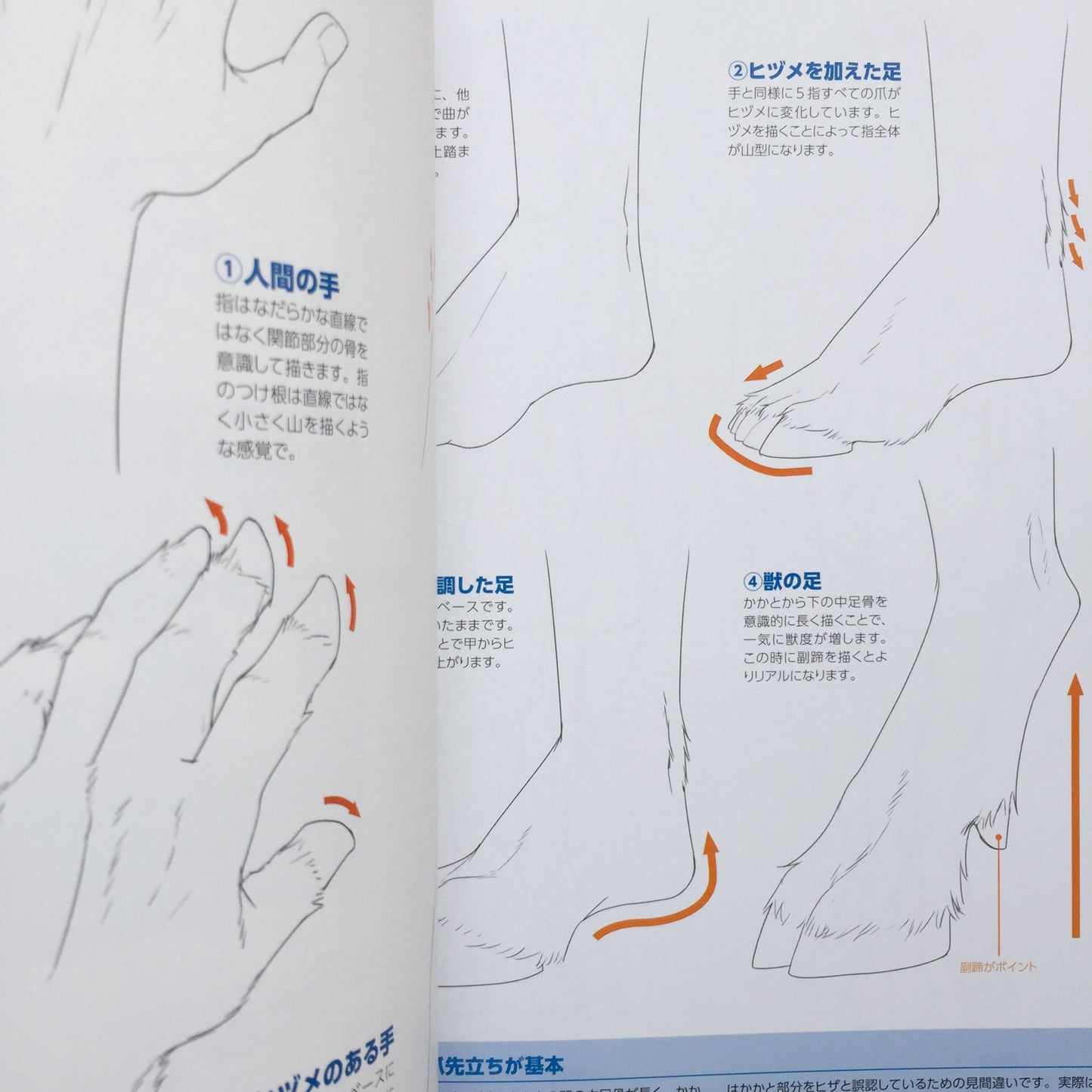 How To Draw Therianthrope