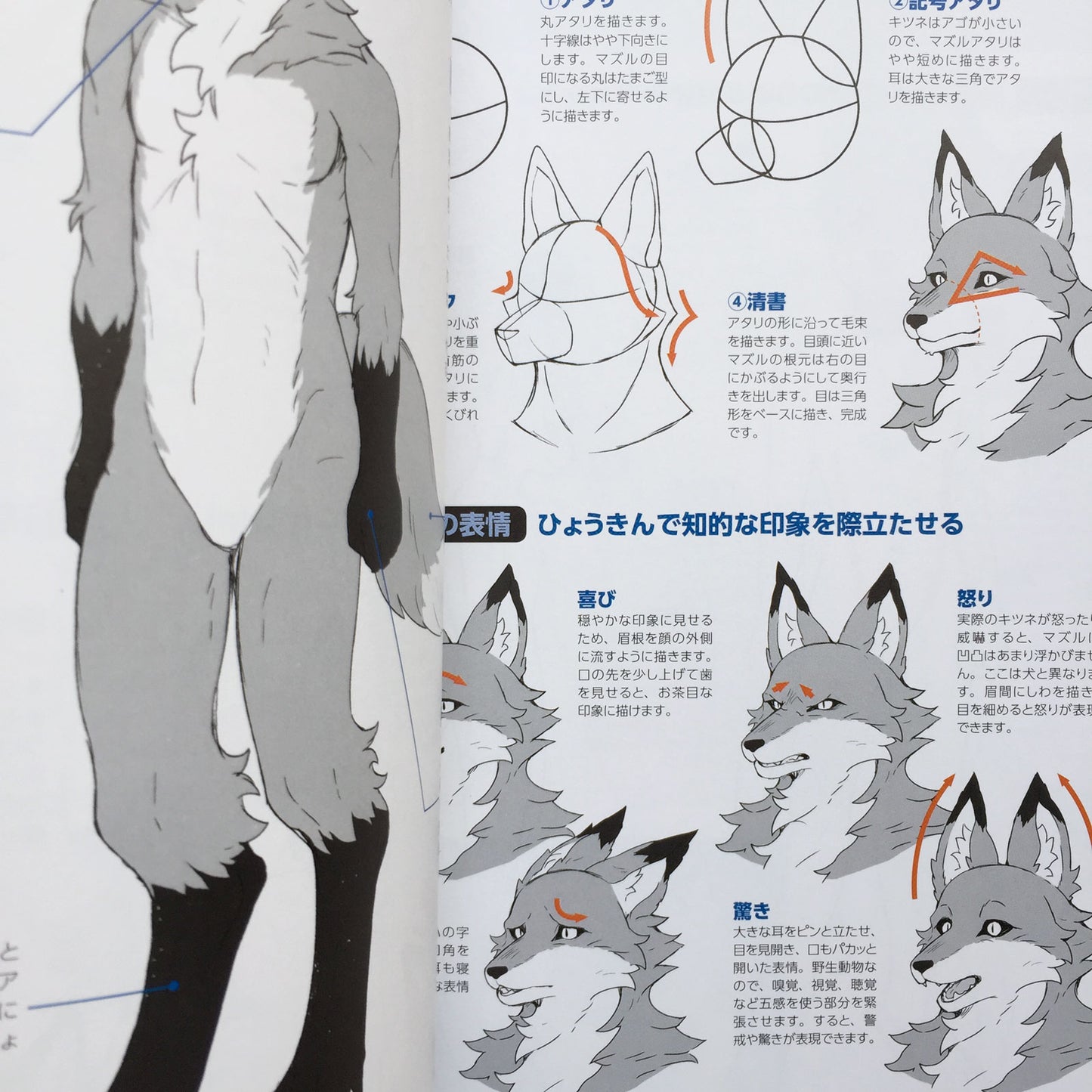 How To Draw Therianthrope