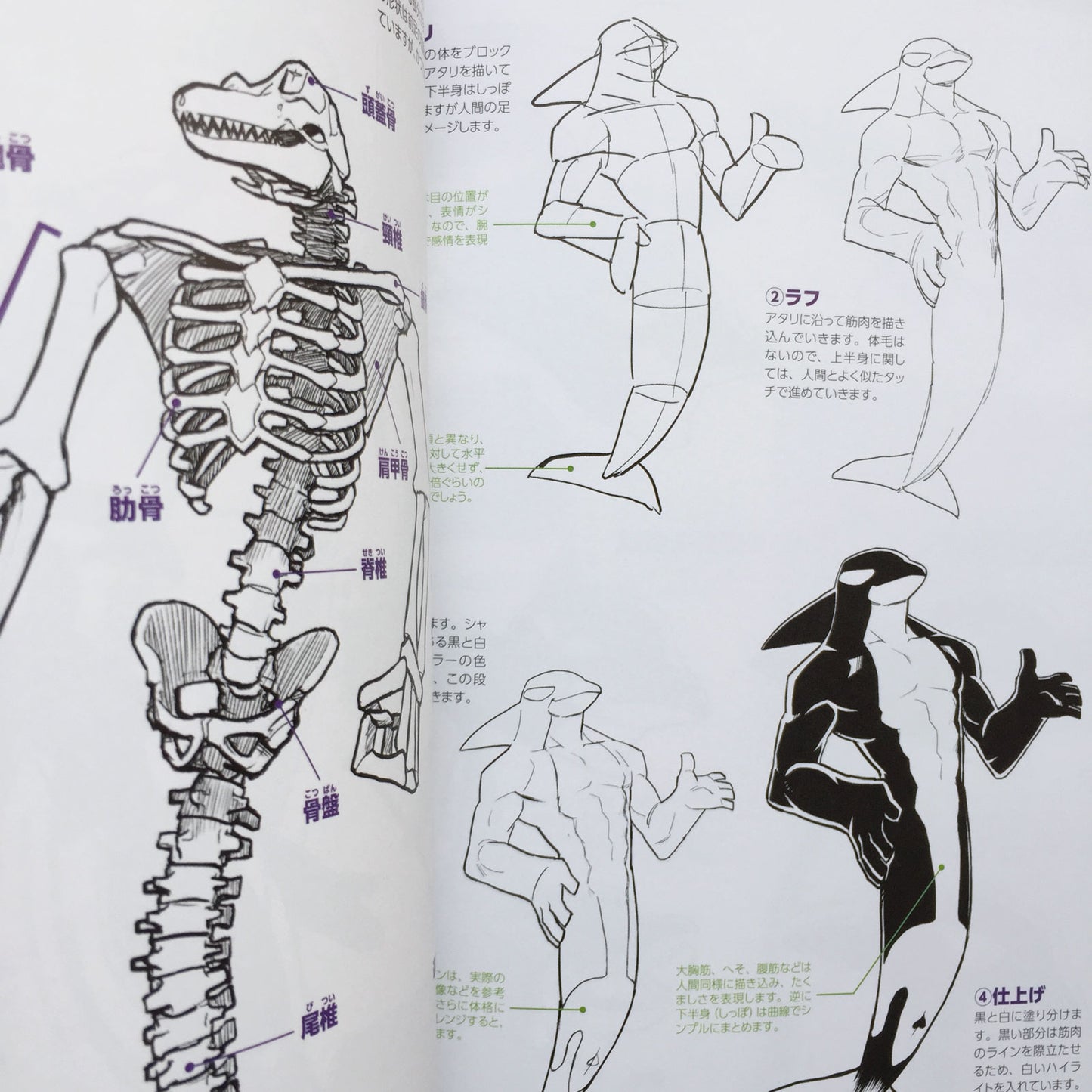 How To Draw Therianthrope