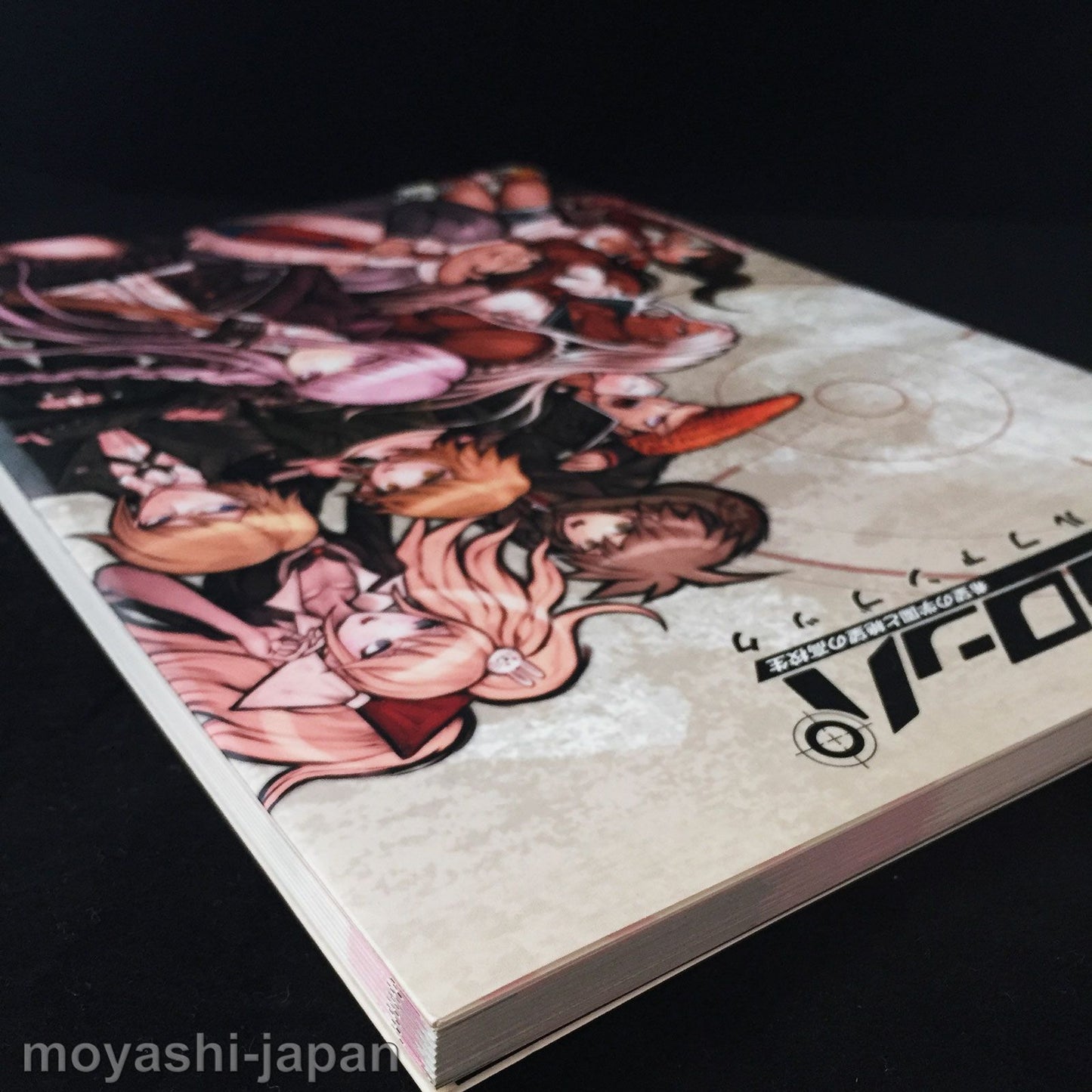 DANGANRONPA VISUAL FAN BOOK