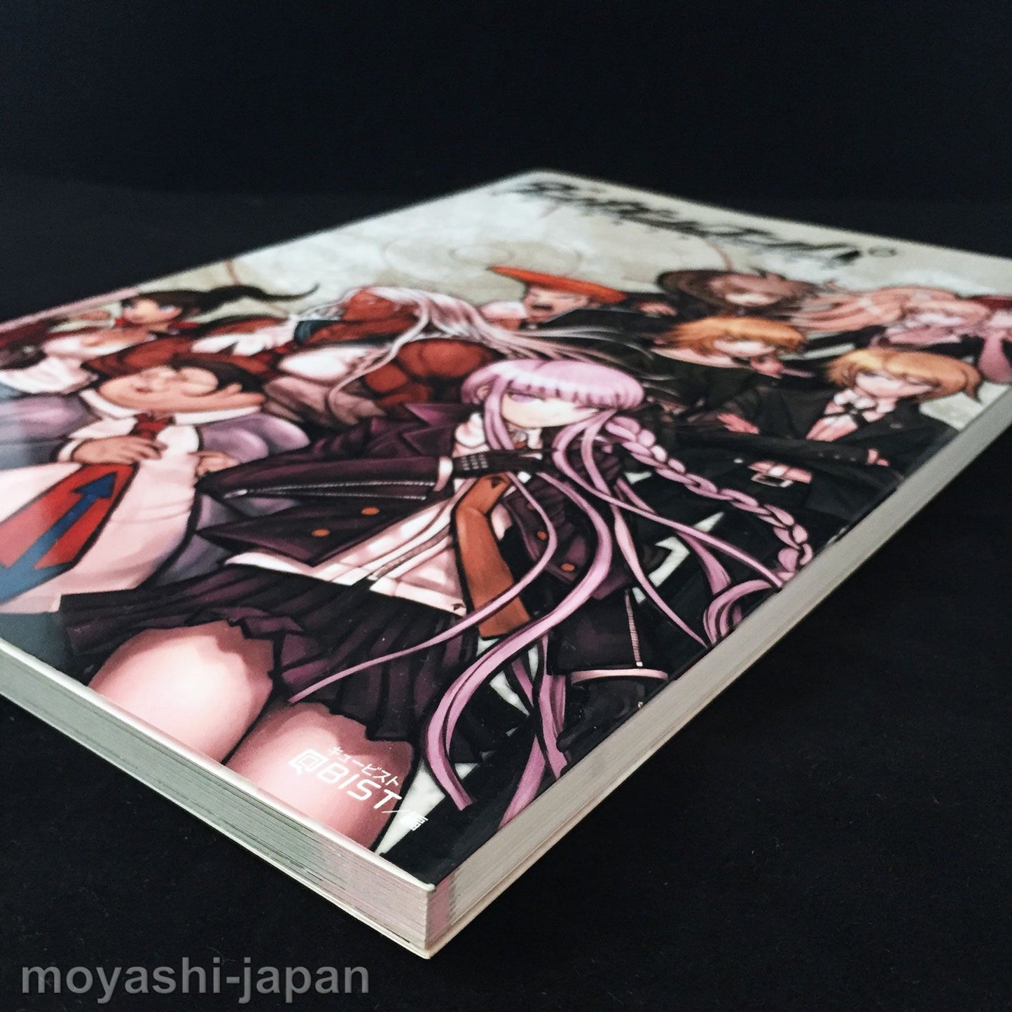DANGANRONPA VISUAL FAN BOOK
