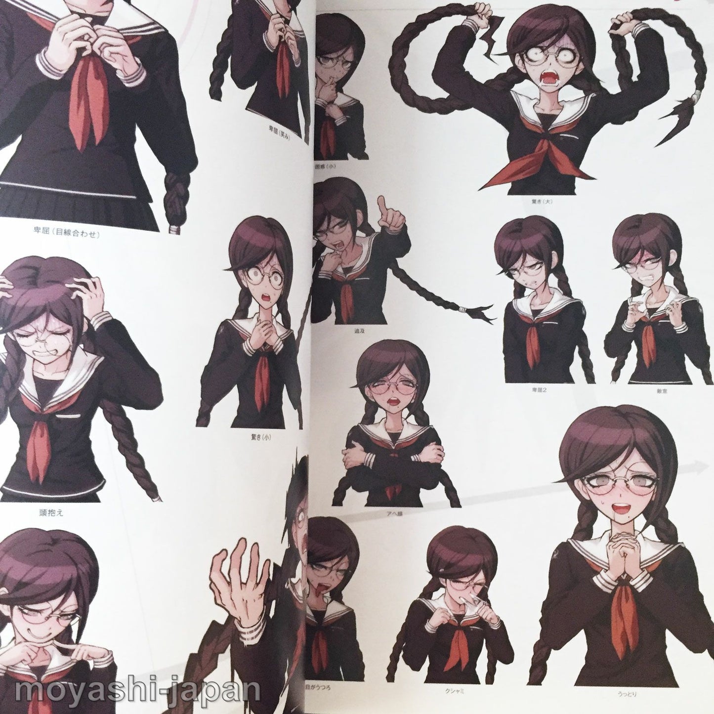 DANGANRONPA VISUAL FAN BOOK